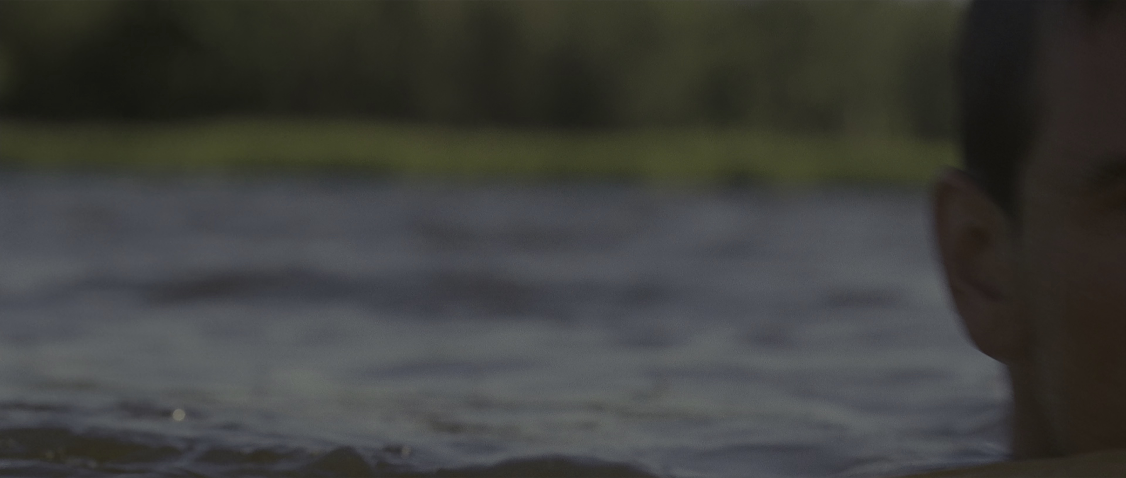 伊甸湖 [HDR/杜比视界双版本][简繁英双语字幕].Eden.Lake.2008.UHD.BluRay.2160p.x265.10bit.DoVi-SSDSSE 20.25GB-2.png