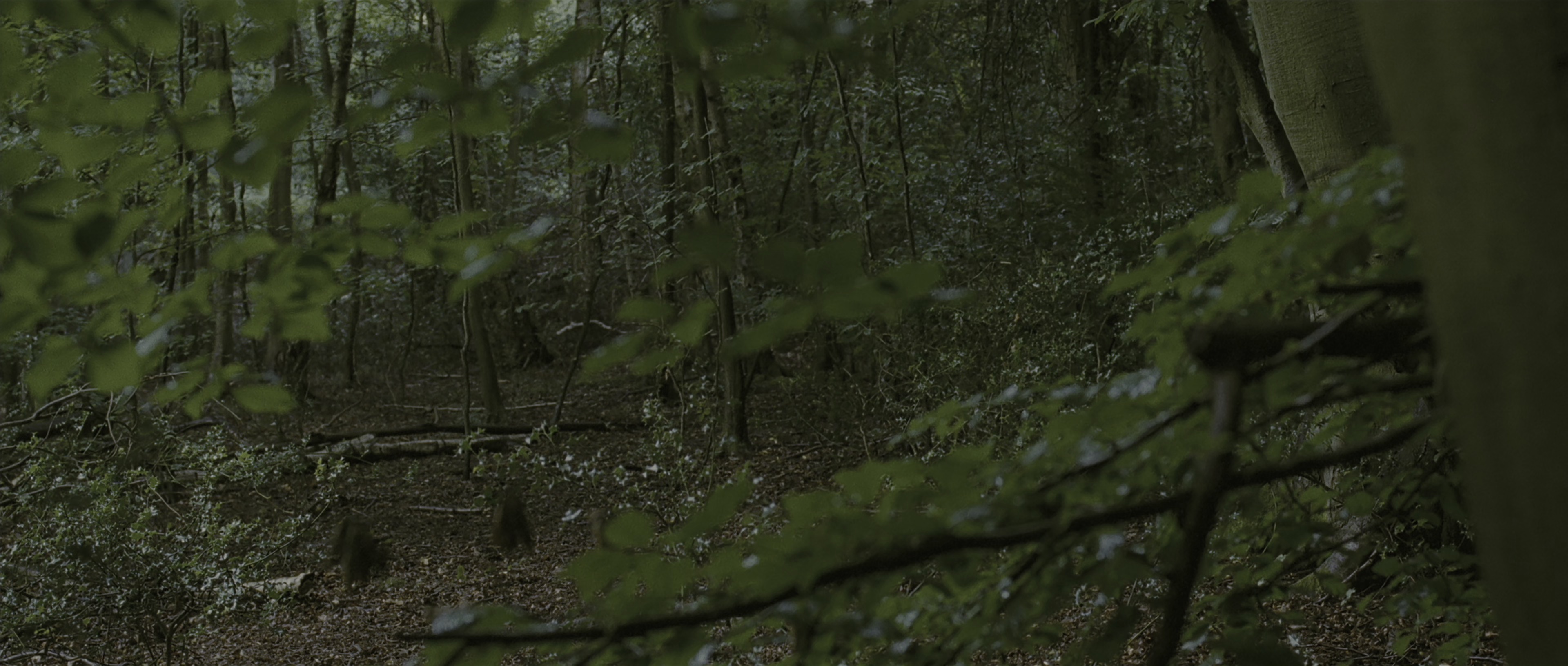 伊甸湖 [HDR/杜比视界双版本][简繁英双语字幕].Eden.Lake.2008.UHD.BluRay.2160p.x265.10bit.DoVi-SSDSSE 20.25GB-6.png