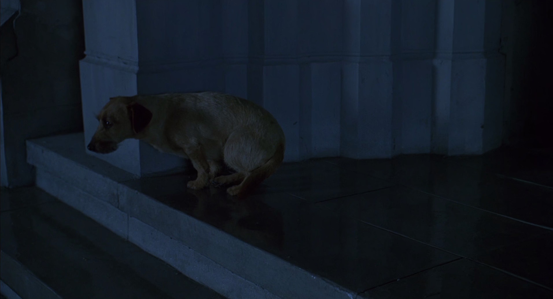 加菲猫 [国粤英多音轨/简繁英双语字幕].Garfield.2004.BluRay.1080p.x265.10bit.4Audio-SSDSSE 4.71GB-4.png