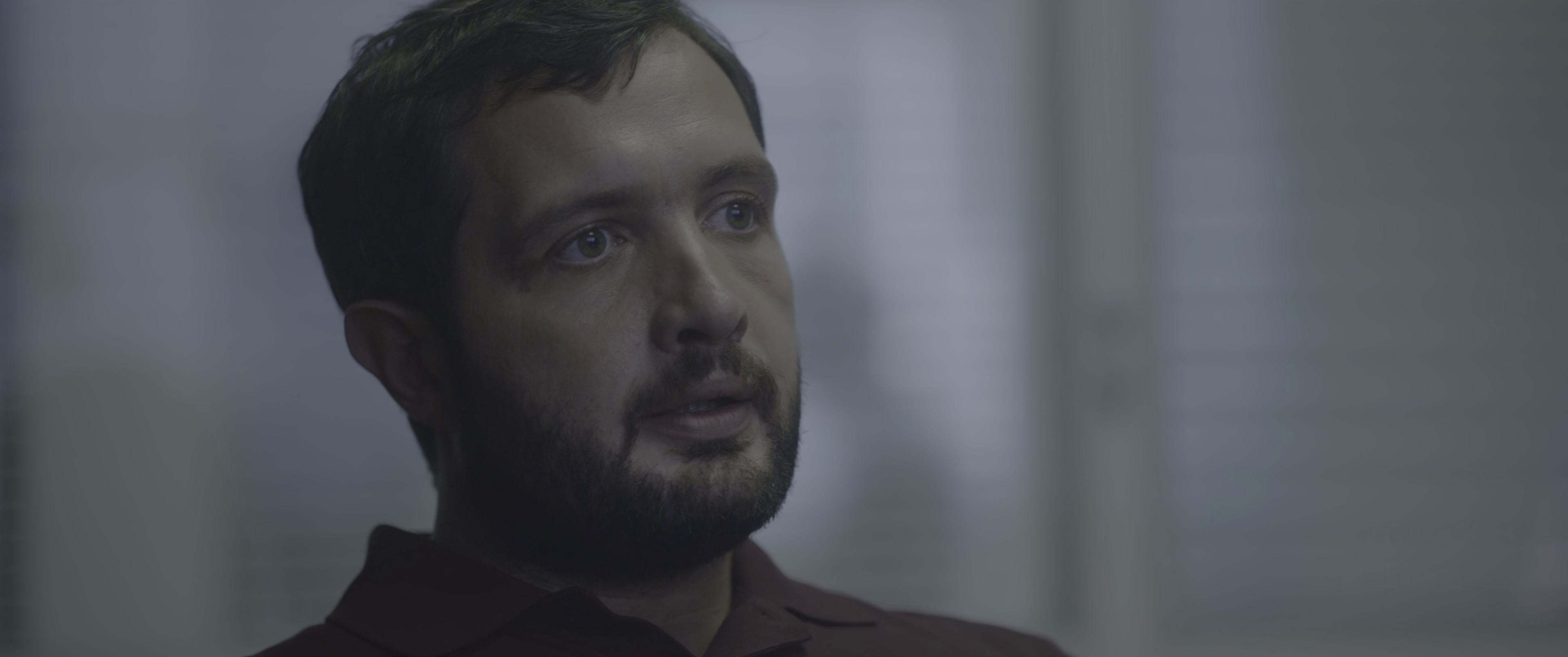 北区侦缉队 [简繁字幕].The.Stronghold.2020.UHD.BluRay.2160p.x265.10bit.HDR-SSDSSE 14.59GB-3.png