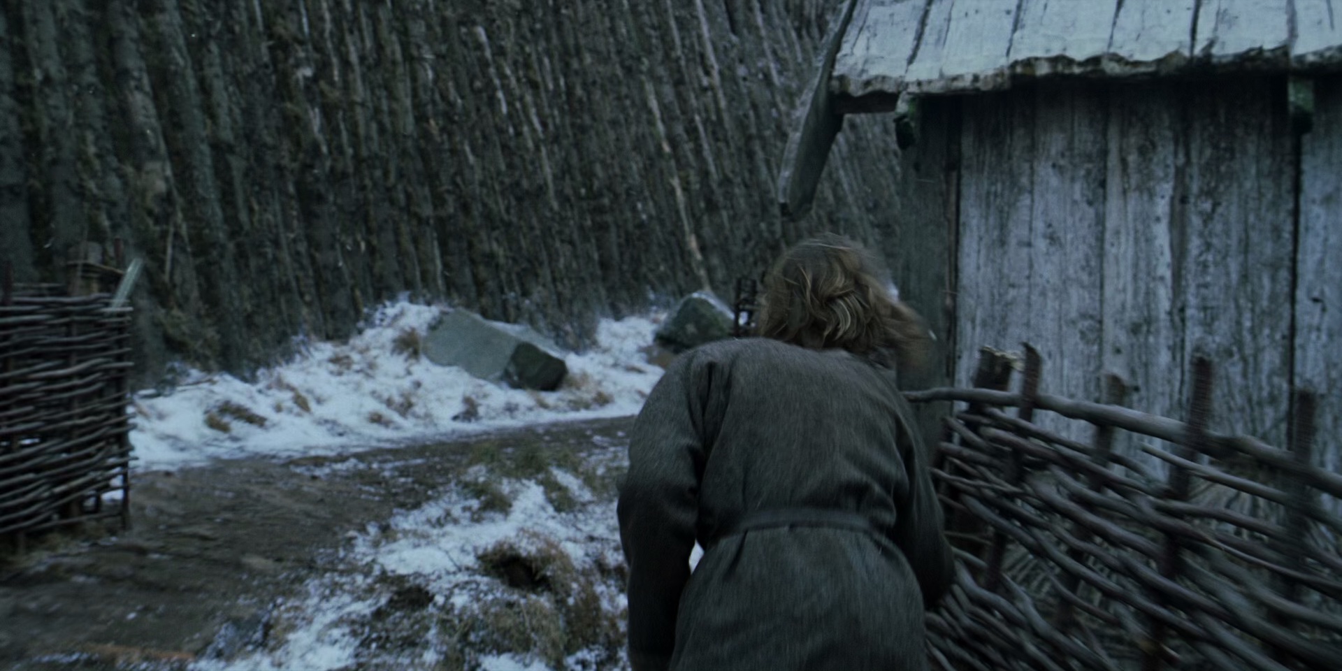 北欧人 [简体字幕].The.Northman.2022.BluRay.1080p.x265.10bit.DDP7.1-SSDSSE 9.35GB-2.png