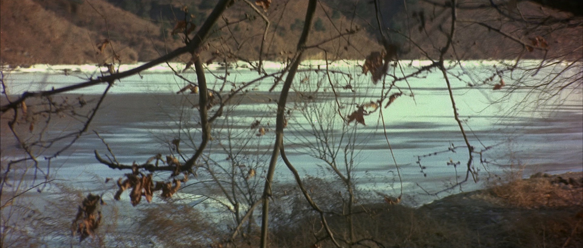 多情剑客无情剑 [国粤多音轨/简繁字幕].The.Sentimental.Swordsman.1977.BluRay.1080p.x265.10bit.FLAC-SSDSSE 4.65GB-5.png