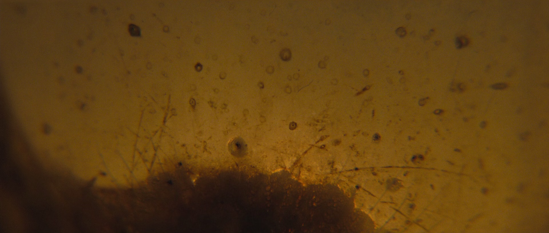 我与梦露的一周 [简繁字幕].My.Week.with.Marilyn.2011.1080p.BluRay.x265.10bit.DDP5.1-SSDSSE 6.41GB-2.png