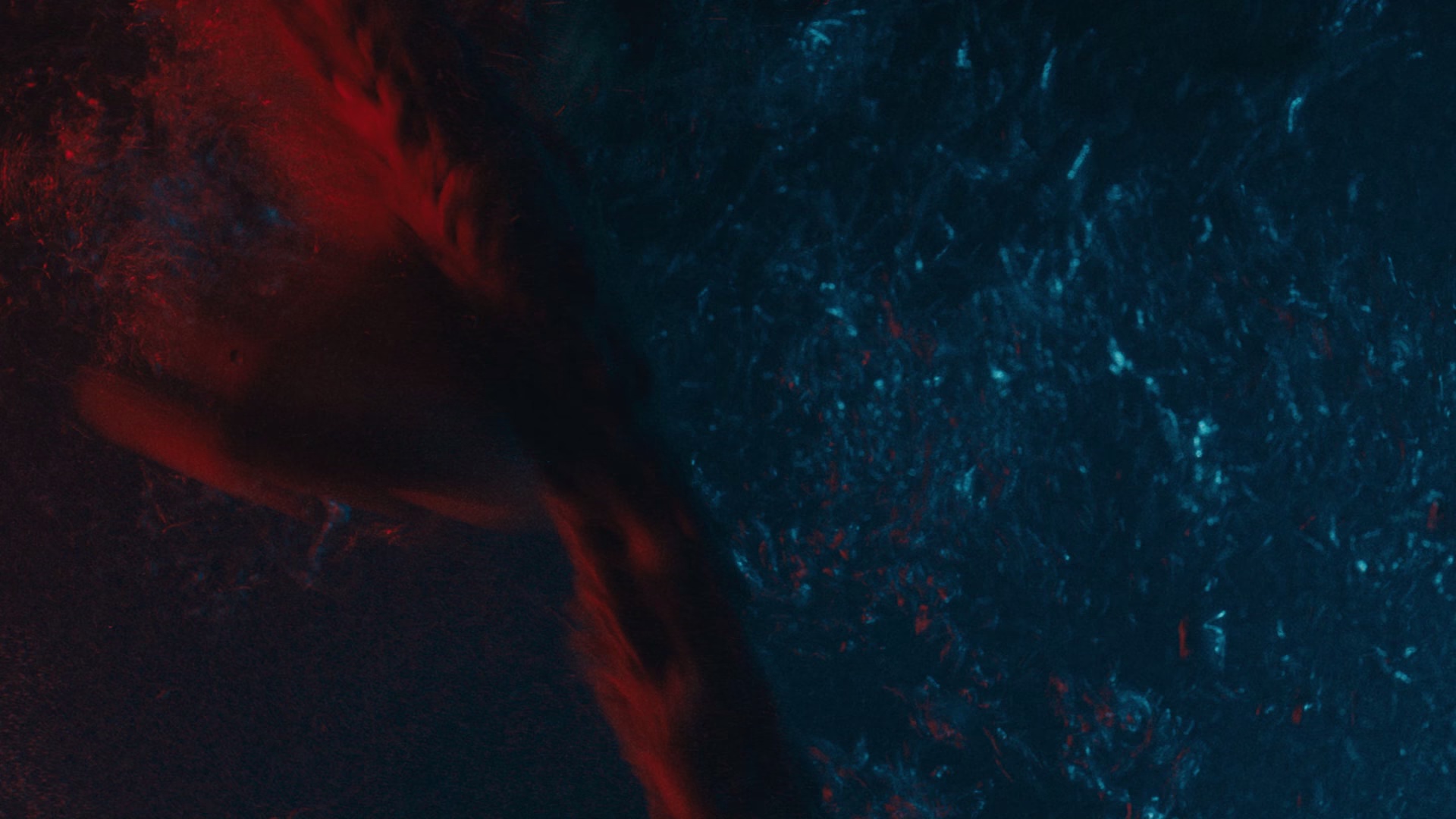 断魂小丑2 [简繁字幕].Terrifier.2.2022.BluRay.1080p.x265.10bit.DDP5.1-SSDSSE 16.33GB-7.png