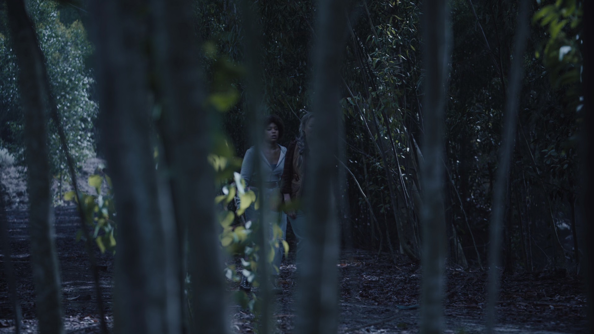 新睡衣晚会大屠杀 [简英字幕].Slumber.Party.Massacre.III.2021.BluRay.1080p.x265.10bit.DDP5.1.REPACK-SSDSSE 4.35GB-7.png