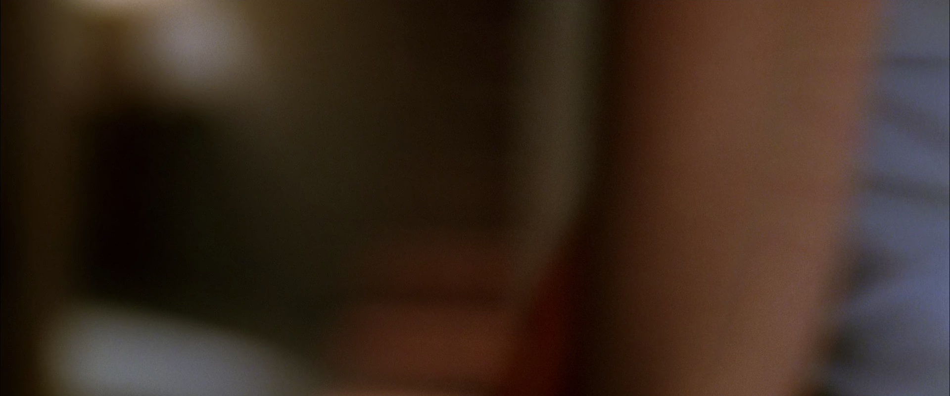 杀死比尔2 [中英字幕].Kill.Bill.Vol.2.2004.BluRay.1080p.x265.10bit-SSDSSE 5.99GB-7.png