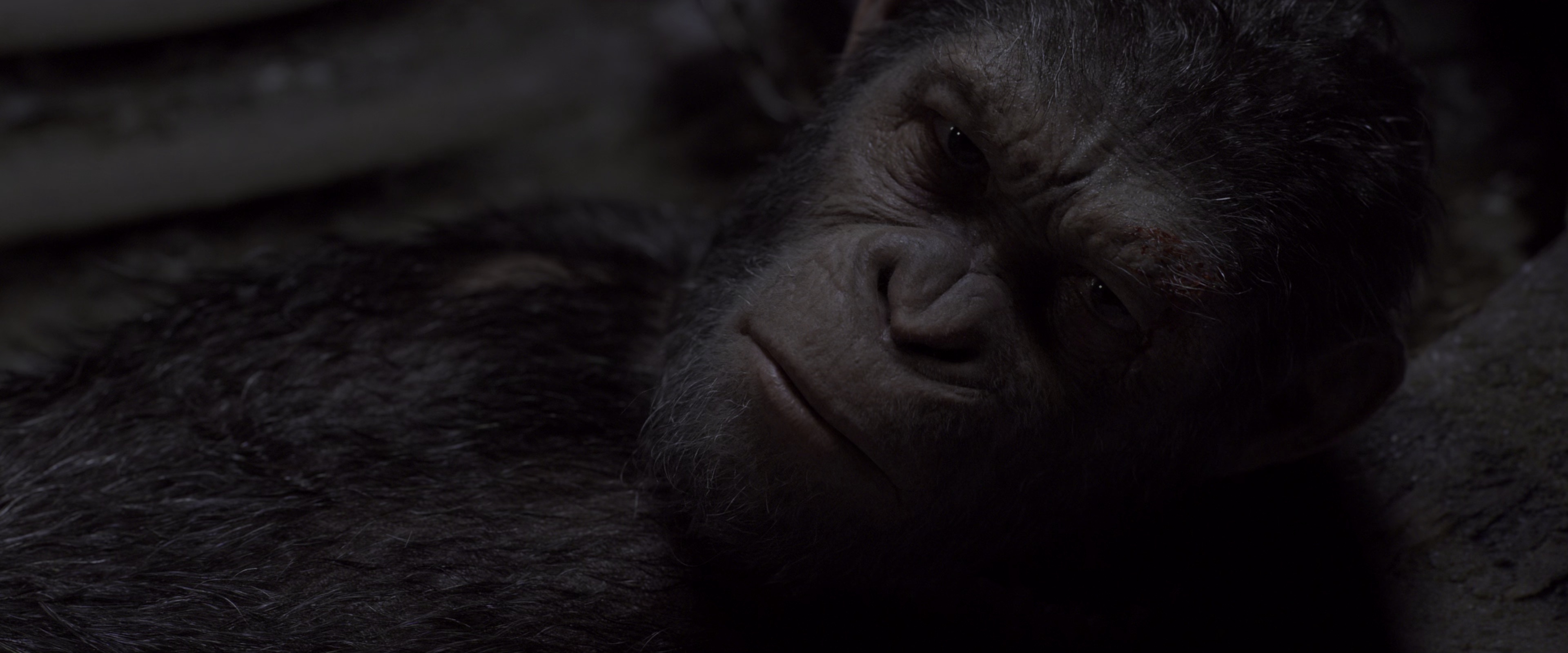 猩球崛起3：终极之战 [国英多音轨/简繁英双语特效字幕].2017.BluRay.2160p.x265.10bit.HDR.4Audio-SSDSSE 22.02GB-4.png