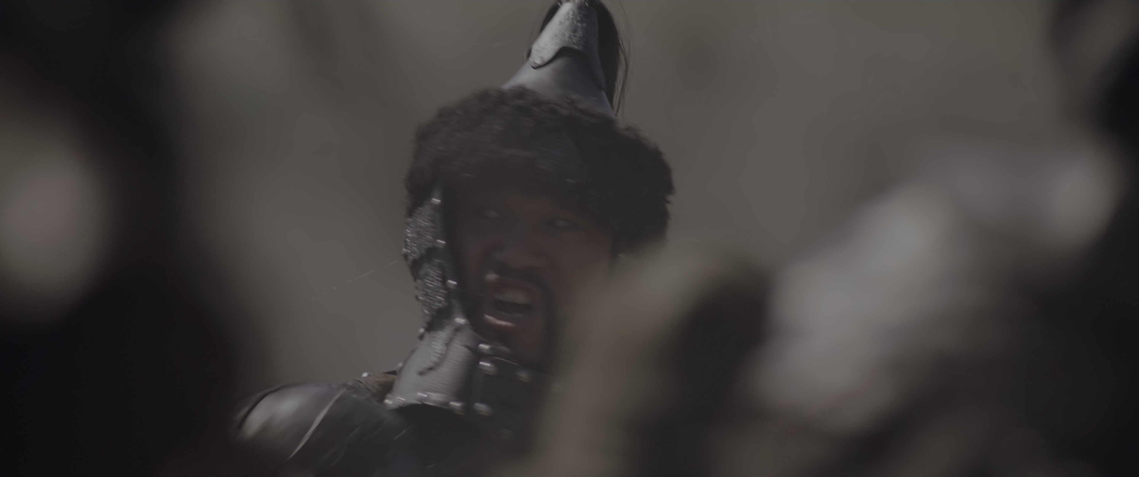 花木兰 [国英多音轨/中英双语特效字幕].Mulan.2020.BluRay.2160p.x265.10bit.HDR.2Audio-SSDSSE 17.08GB-5.png