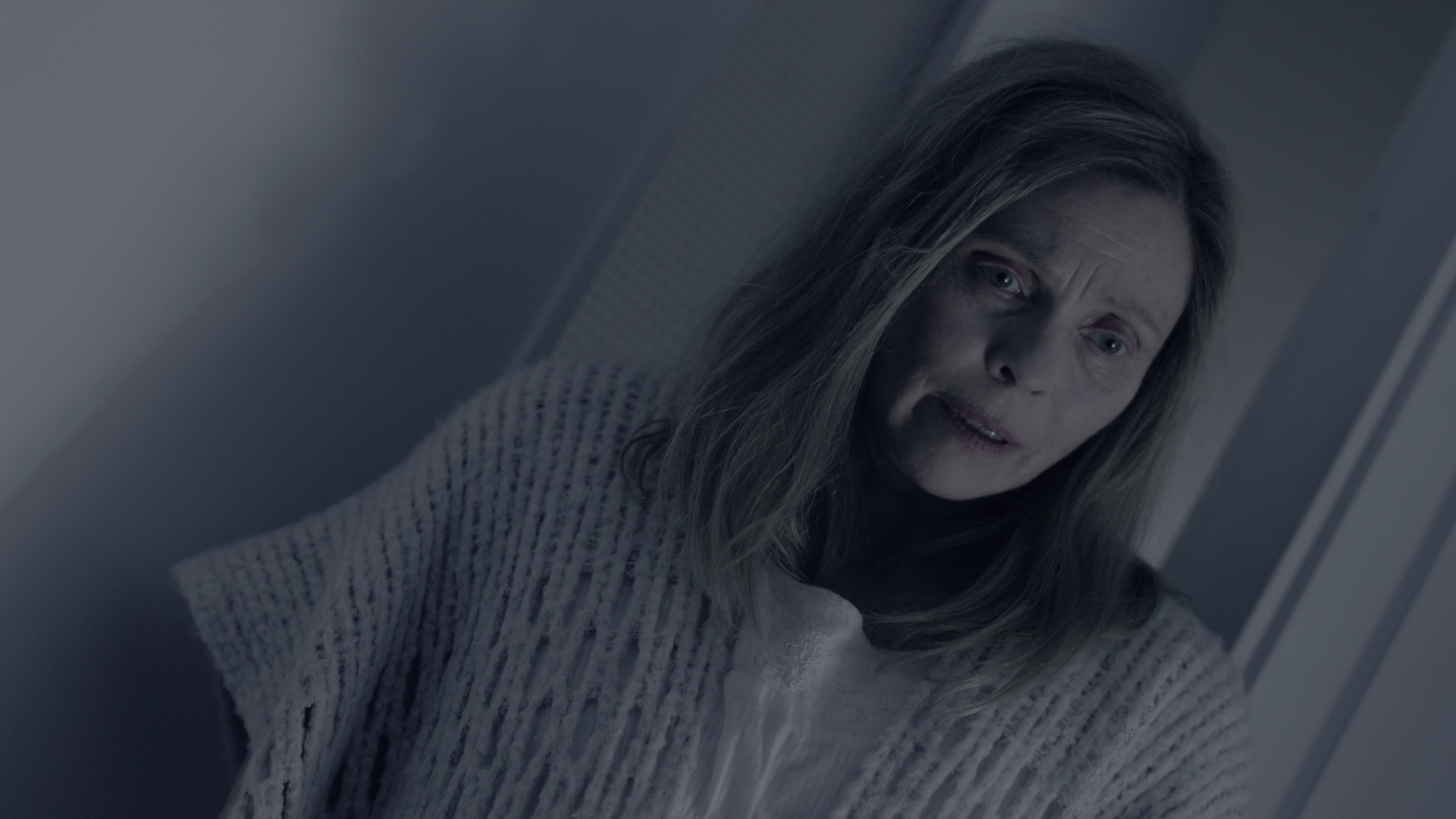 鬼娃回魂7 [HDR/杜比视界双版本][简繁英双语字幕].Cult.of.Chucky.2017.UHD.BluRay.2160p.x265.10bit.DoVi-SSDSSE 17.36GB-3.png