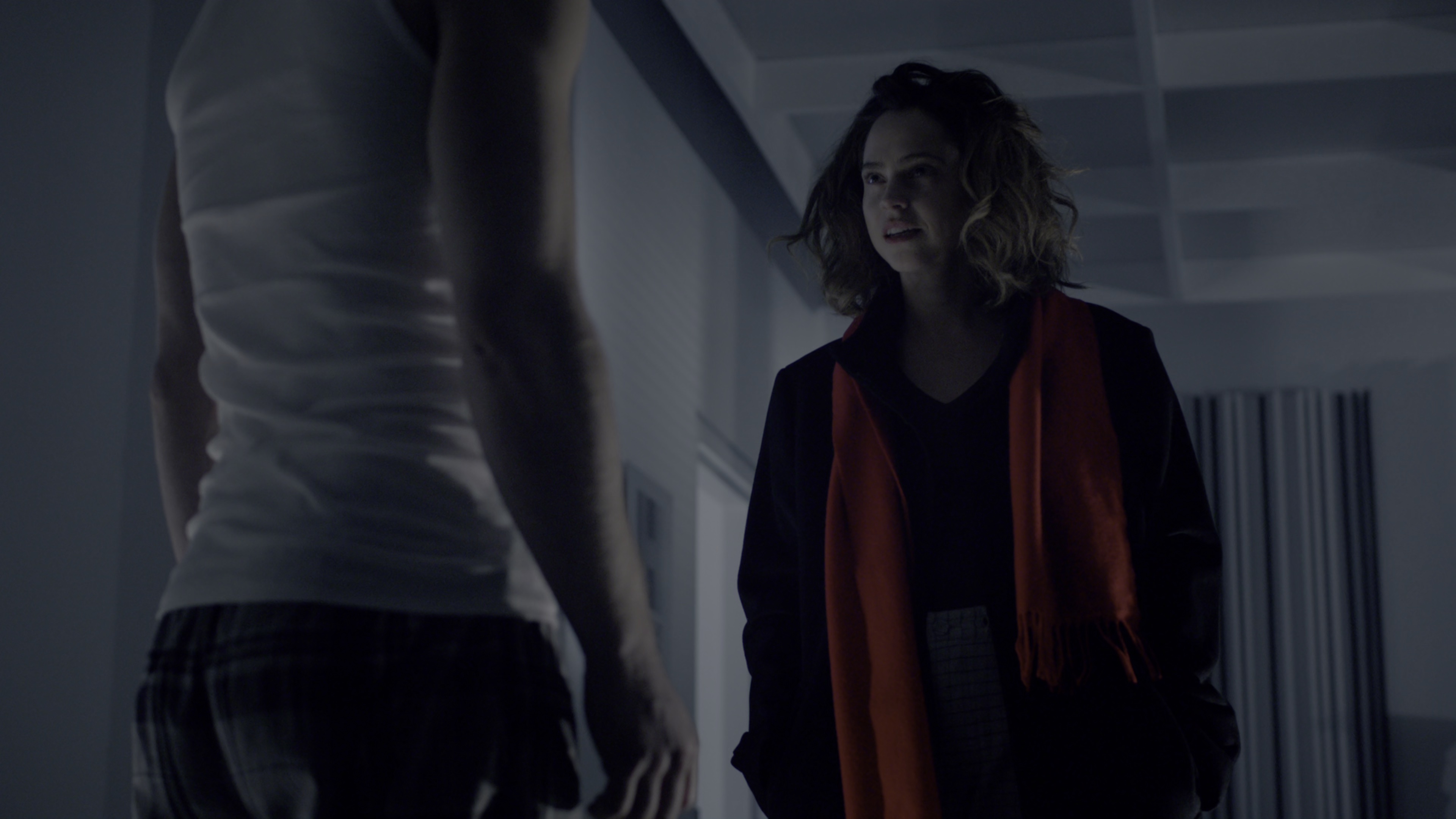 鬼娃回魂7 [HDR/杜比视界双版本][简繁英双语字幕].Cult.of.Chucky.2017.UHD.BluRay.2160p.x265.10bit.DoVi-SSDSSE 17.36GB-7.png