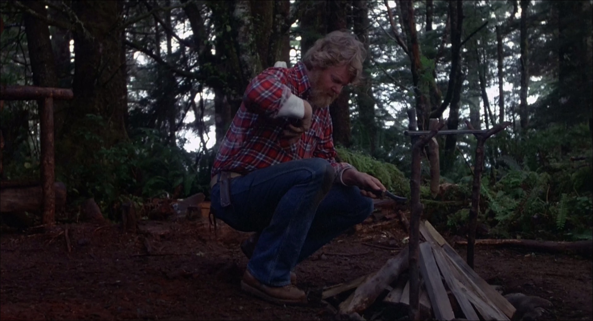 丛林赤子心 [简繁英字幕].Benji.the.Hunted.1987.1080p.WEBRip.x265.10bit.AC3￡SSDSSE 4.77GB-3.png