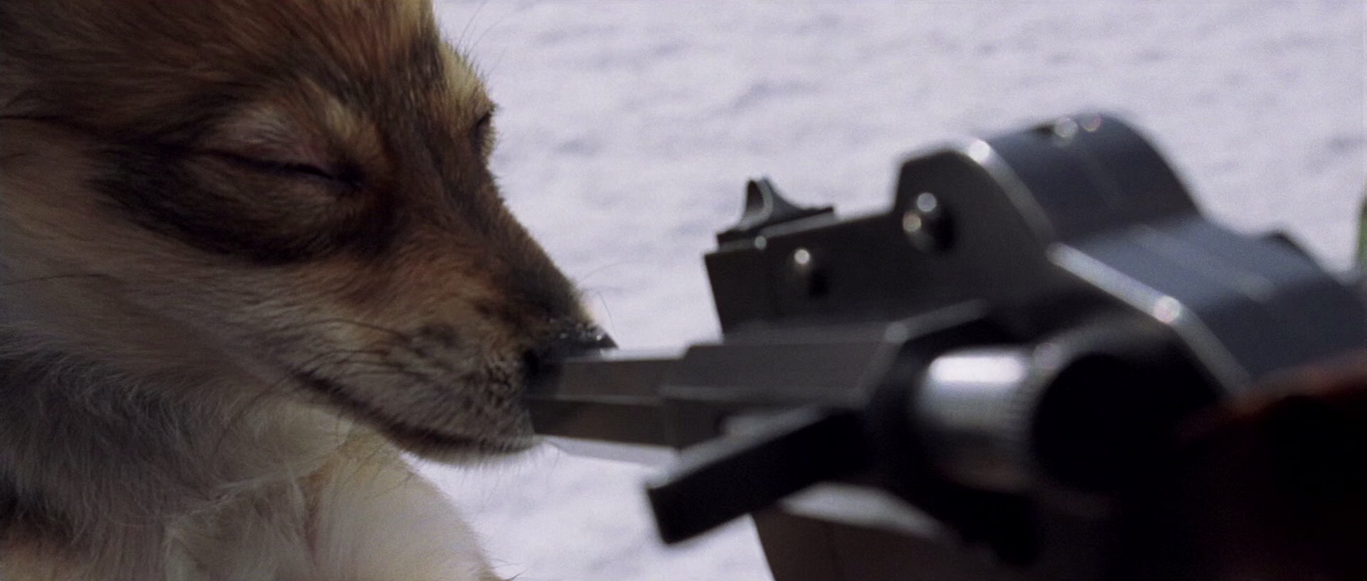 亲切的金子 [国韩多音轨/简繁英字幕].Lady.Vengeance.2005.BluRay.1080p.x265.10bit.2Audio.DDP5.1-SSDSSE 5.69GB-3.png