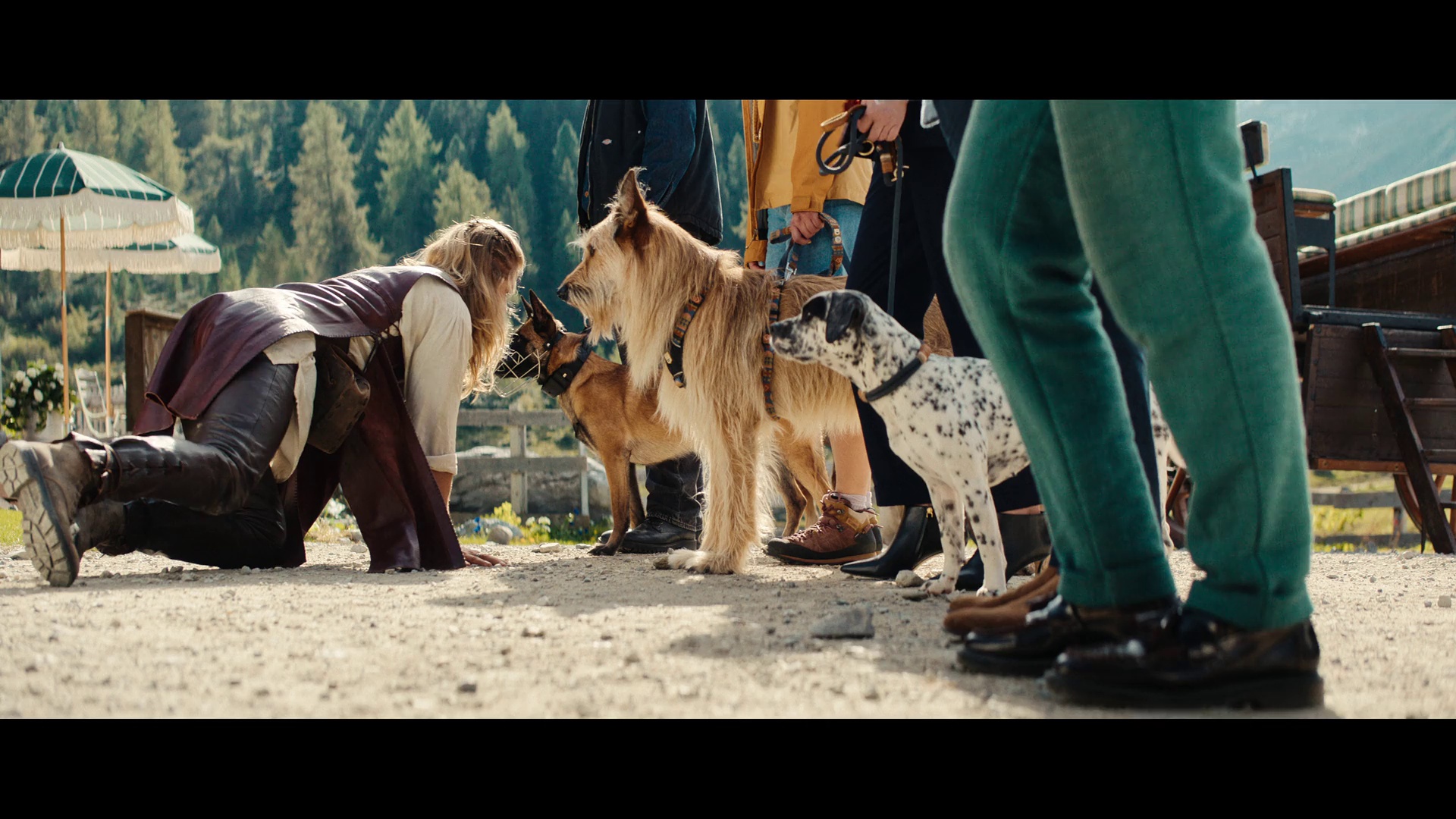 汪星人训练营 [国语配音/中文字幕].Eat.Pray.Bark.2026.1080p.NF.WEB-DL.DDP5.1.Atmos.H264-PandaQT 3.97GB-2.png