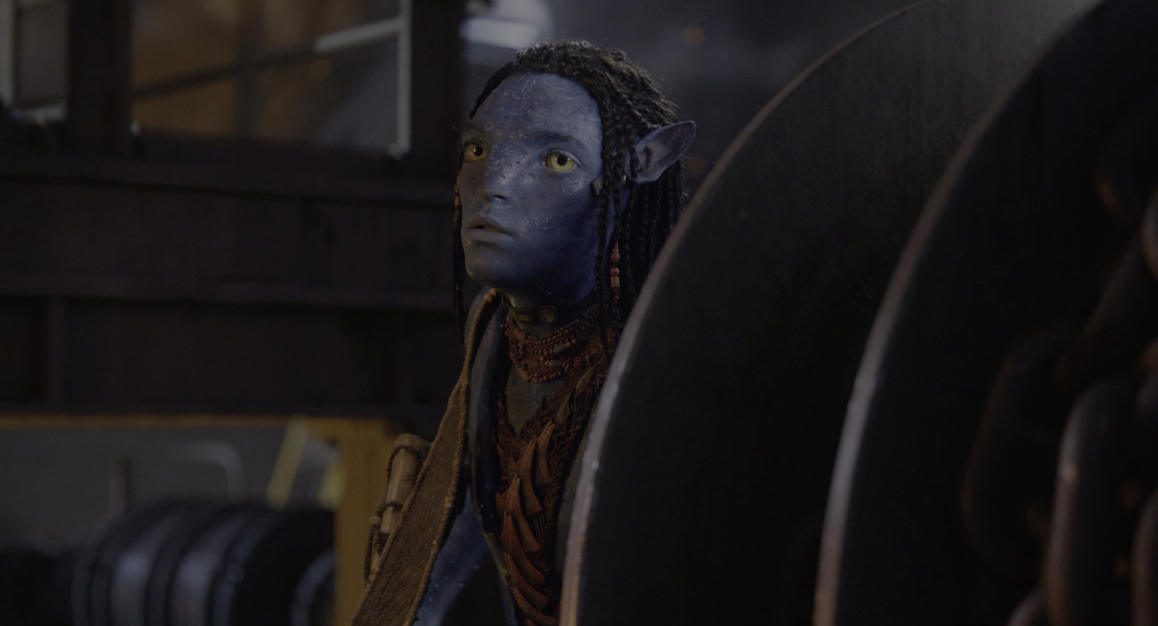 阿凡达：火与烬 [HDR/杜比视界双版本][简繁英双语字幕].2025.2160p.iT.WEB-DL.DV.HDR.H.265.DDP.5.1.Atmos-QuickIO 34.69GB-7.png