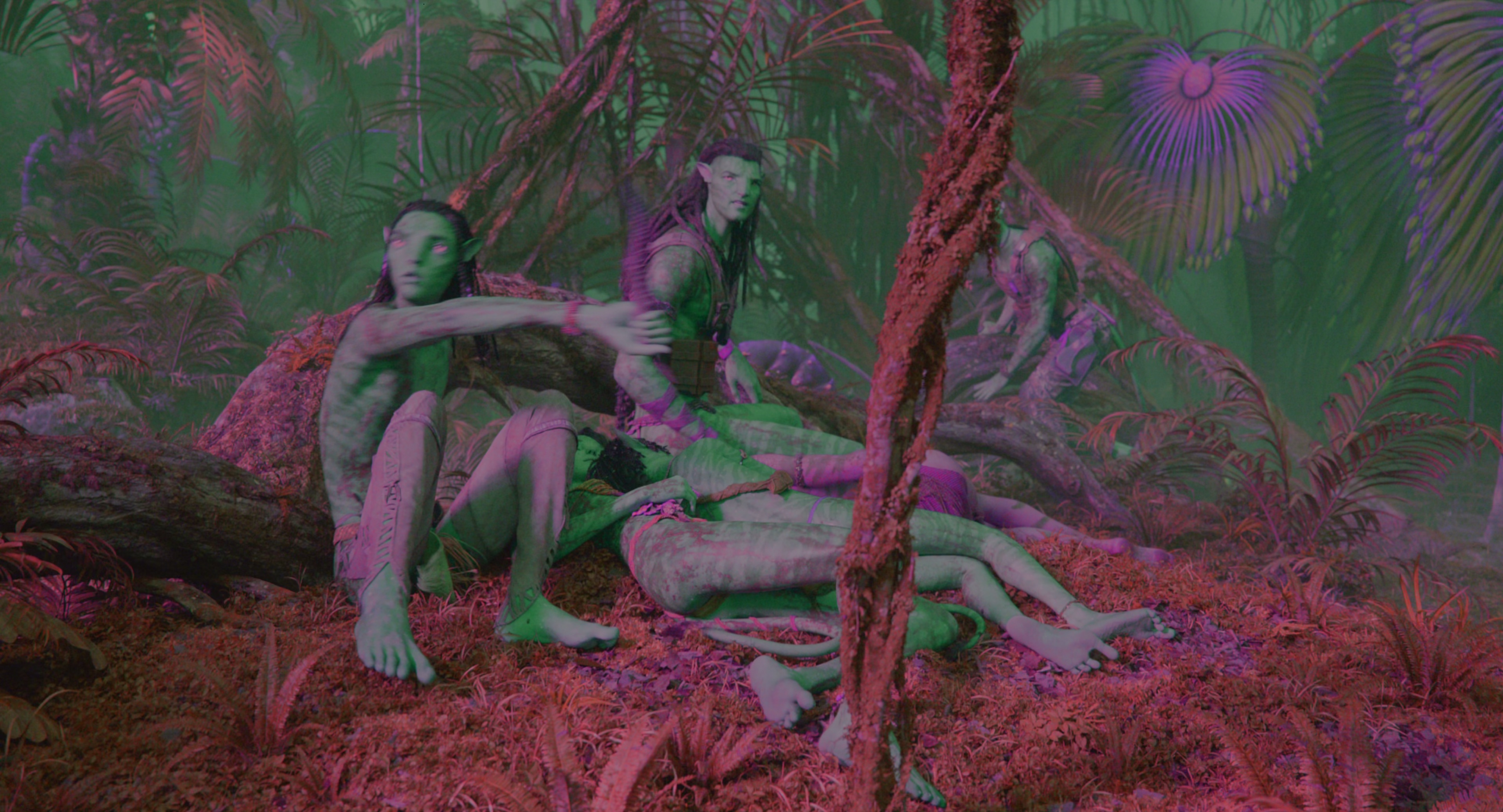 阿凡达：火与烬 [杜比视界版本][国英多音轨/简繁英双语特效字幕].2025.2160p.iTunes.WEB-DL.DDP.7.1.Atmos.DV.H.265-DreamHD 36.29GB-3.png