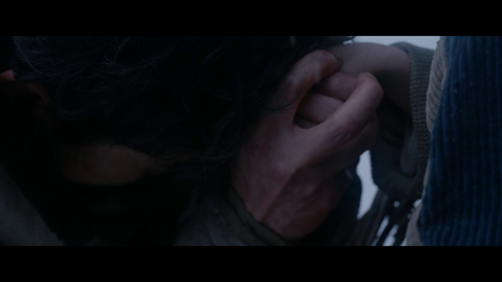 三滴血 [中文字幕].Family.at.Large.2025.1080p.HamiVideo.WEB-DL.AAC2.0.H.264-DreamHD 6.05GB-6.png