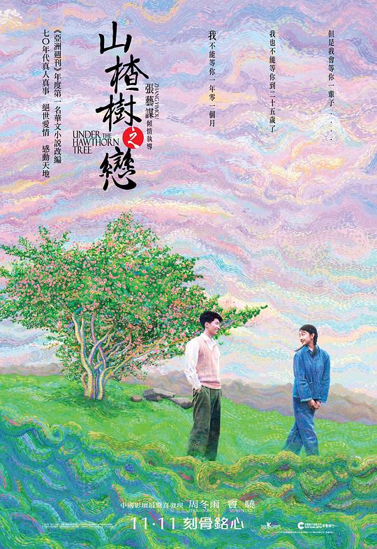 山楂树之恋 [国语音轨/简繁英字幕].Under.the.Hawthorn.Tree.2010.1080p.CATCHPLAY.WEB-DL.H264.AAC-QuickIO 3.23GB-1.png