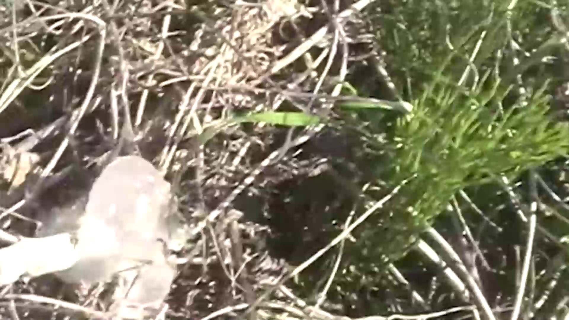 禁断影像45 [中文字幕].Not.Found.45.2021.1080p.CATCHPLAY.WEB-DL.H264.AAC-QuickIO 1.93GB-2.png