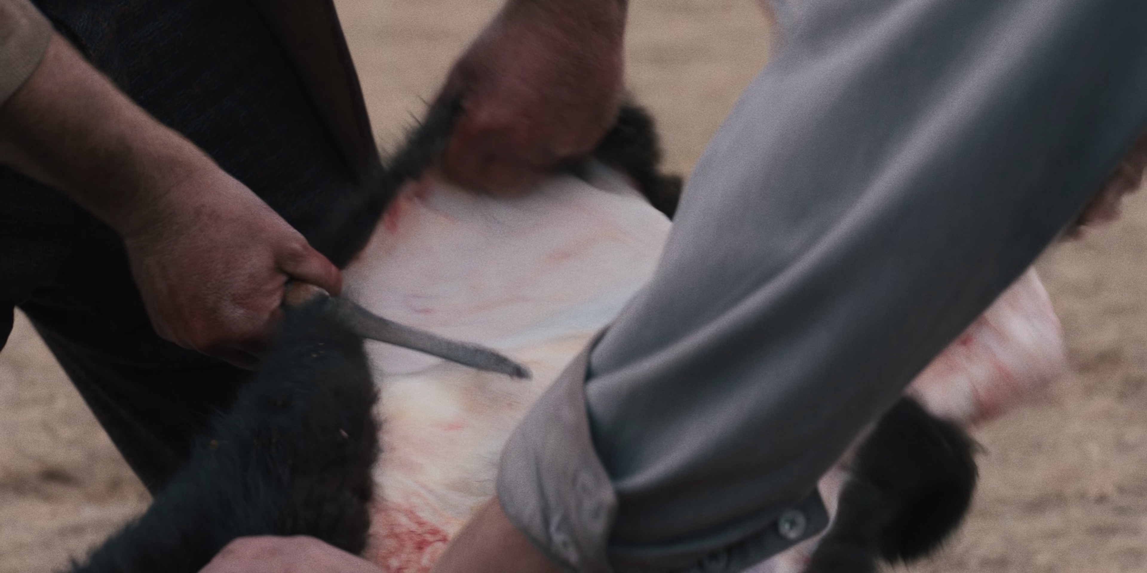 屠夫十字镇 [中文字幕].Butcher's.Crossing.2022.BluRay.2160p.DTS-HD.MA5.1.SDR.x265.10bit-DreamHD 21.53GB-5.png