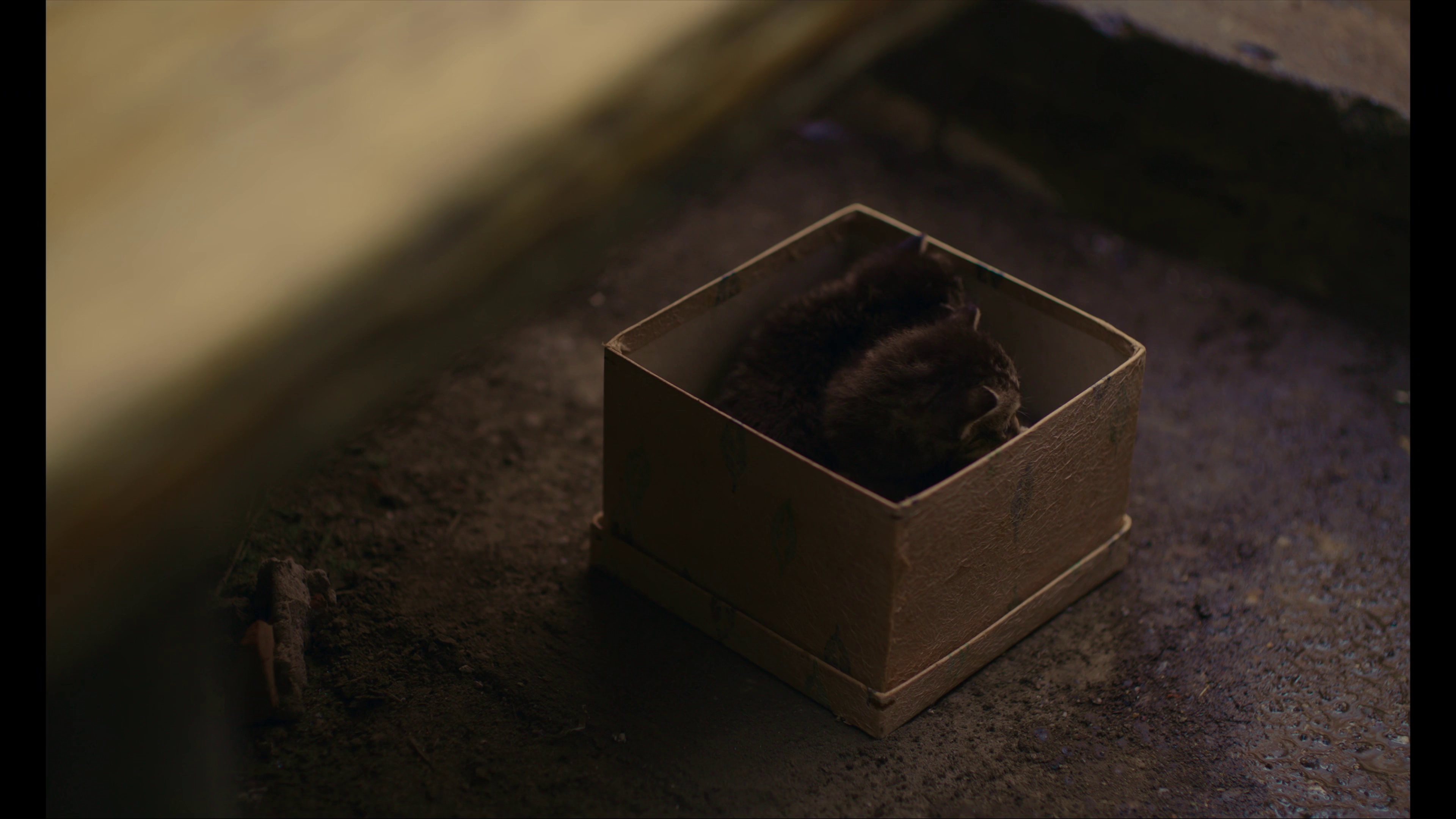 远山淡影 [30帧率版本][中文字幕].A.Pale.View.of.Hills.2025.2160p.HamiVideo.WEB-DL.AAC2.0.H.264-DreamHD 16.57GB-3.png