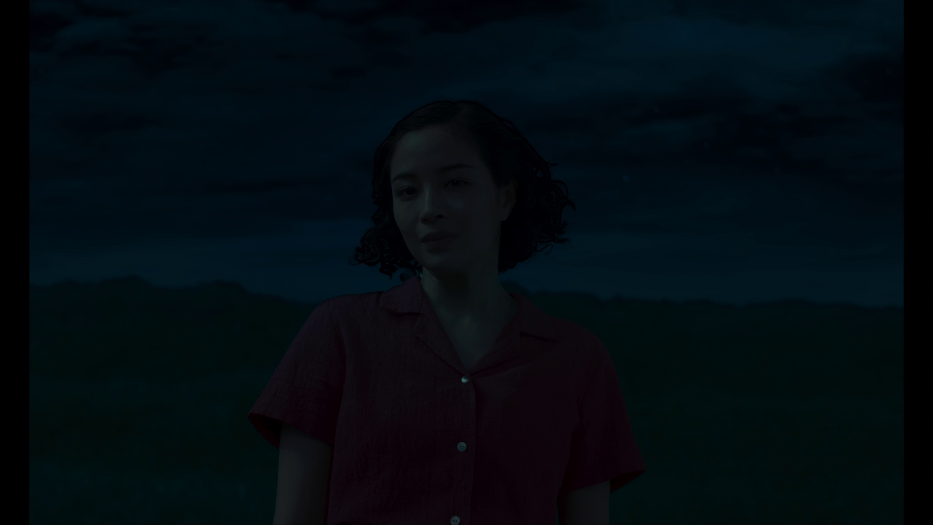 远山淡影 [30帧率版本][中文字幕].A.Pale.View.of.Hills.2025.2160p.HamiVideo.WEB-DL.AAC2.0.H.264-DreamHD 16.57GB-7.png