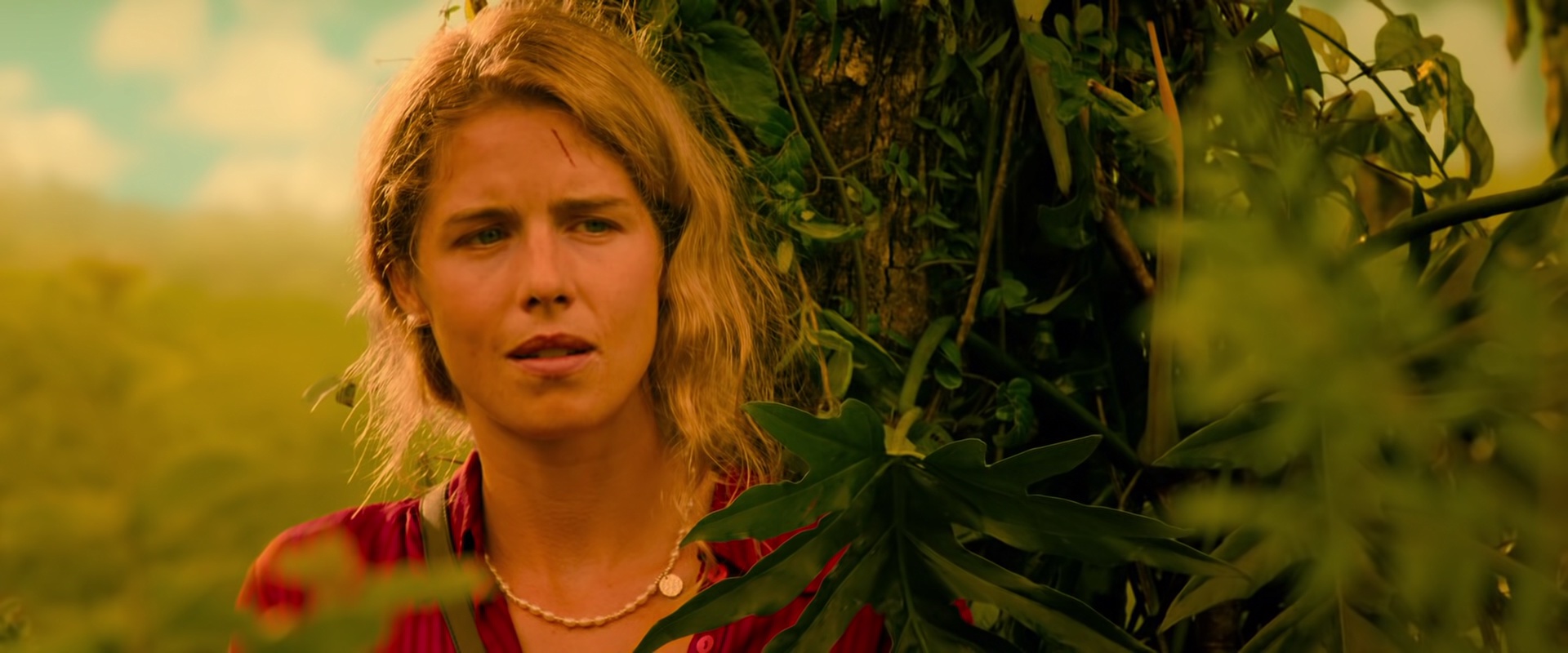 最后的美洲豹 [简繁英字幕].Autumn.and.the.Black.Jaguar.2024.Bluray.1080p.DTS-HDMA5.1.x265.10bit-DreamHD 8.81GB-6.png