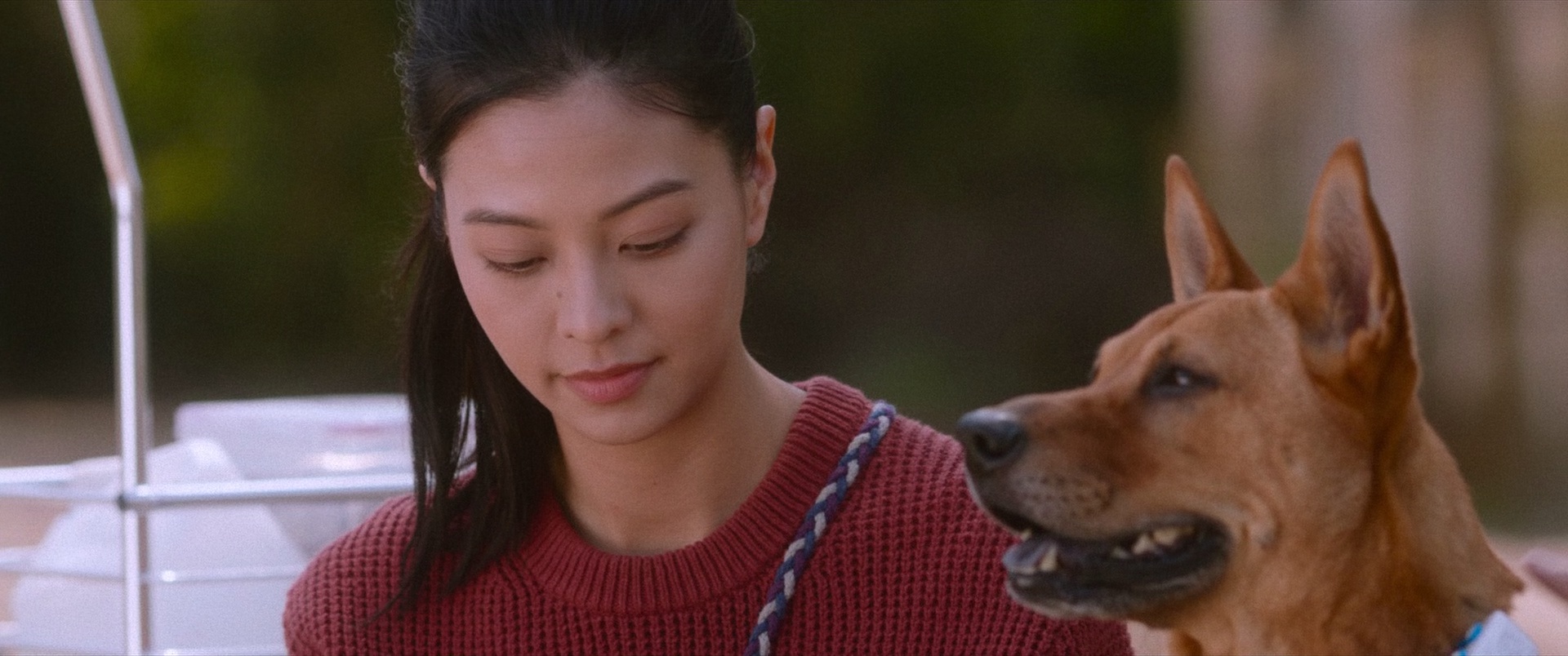 得宠先生 [国语配音/中文字幕].An.Abandoned.Team.2024.Bluray.1080p.TrueHD5.1.x265.10bit-DreamHD 6.26GB-4.png