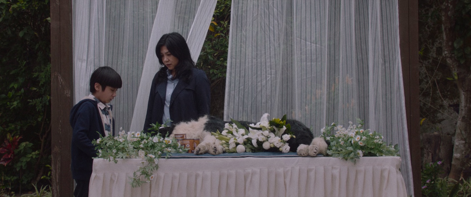 得宠先生 [国语配音/中文字幕].An.Abandoned.Team.2024.Bluray.1080p.TrueHD5.1.x265.10bit-DreamHD 6.26GB-7.png