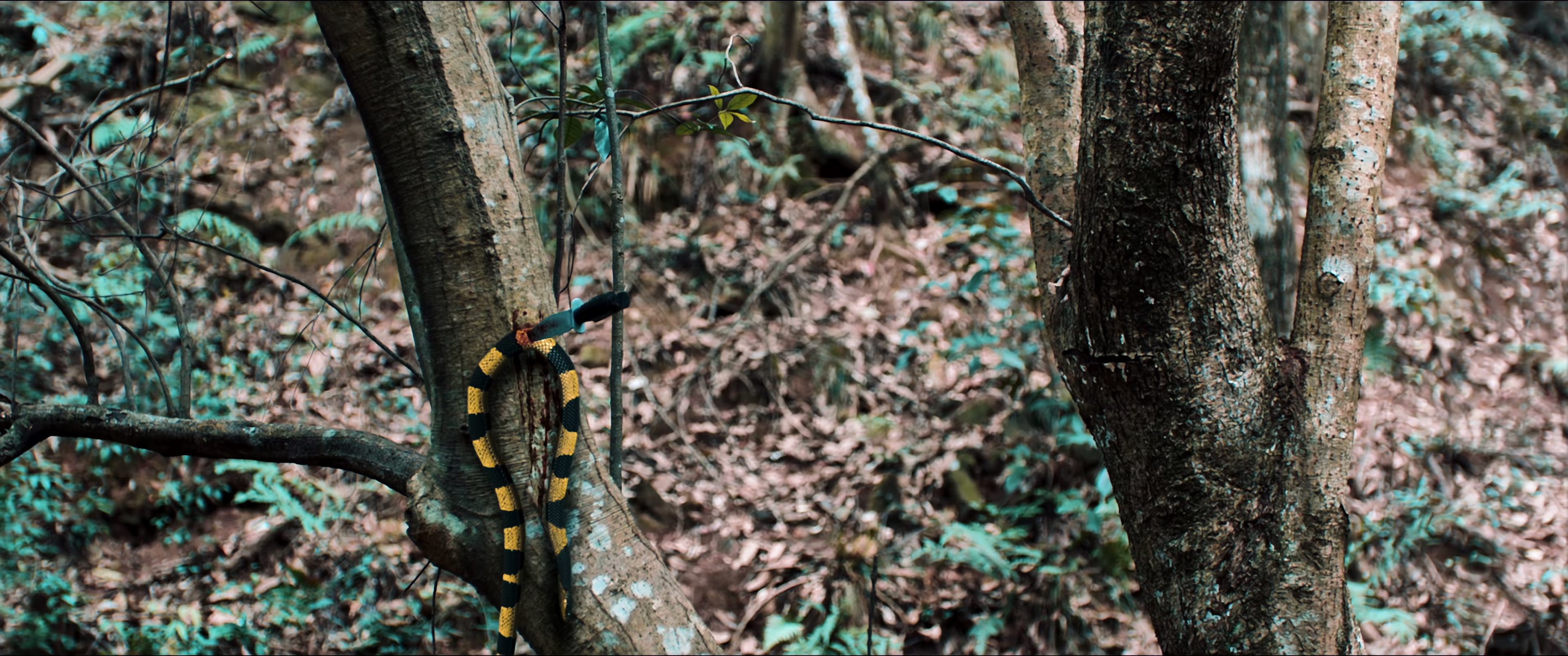 战刀屠狼2 [国语配音/中文字幕].Wolf.Hunters.2.2026.2160p.WEB-DL.H265.DDP2.0-QuickIO 3.26GB-3.png