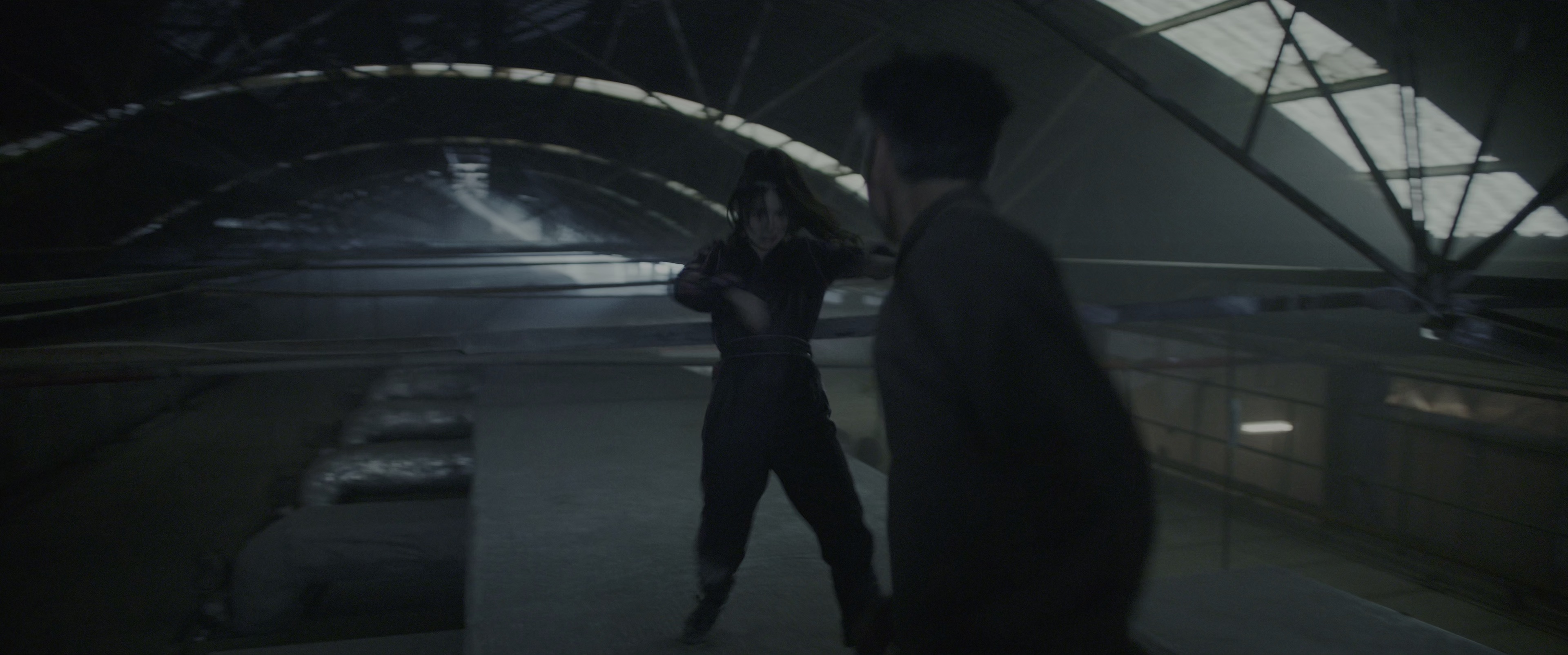 紫禁城 [HDR/杜比视界双版本][简繁英字幕].2025.BluRay.2160p.TrueHD7.1.DoVi.HDR.x265.10bit-DreamHD 24.90GB-6.png