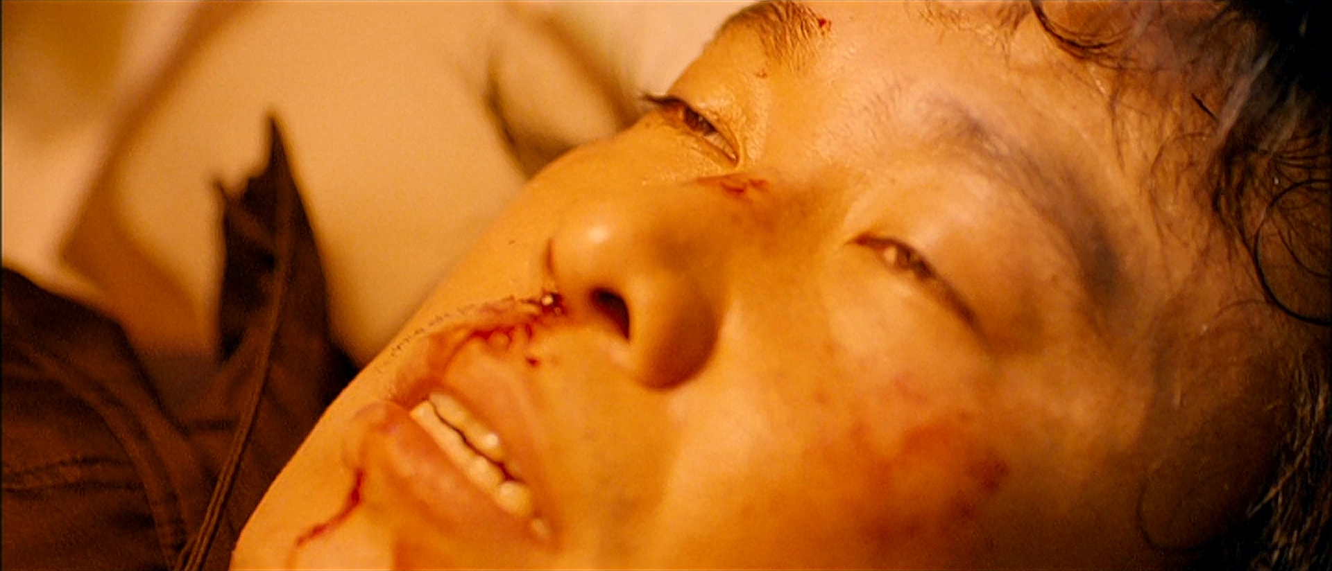 七天 [中英字幕].Seven.Days.2007.BluRay.1080p.DTS.x264-DreamHD 12.21GB-6.png