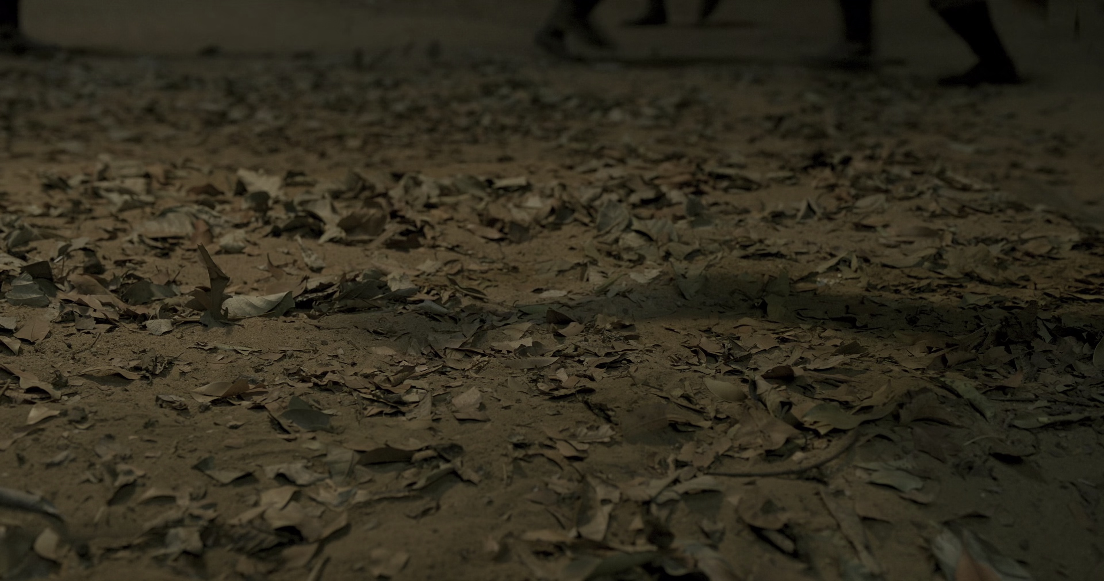 RRR [中文字幕].Rise.Roar.Revolt.2022.Bluray.2160p.TrueHD7.1.x265.10bit-DreamHD 39.55GB-7.png