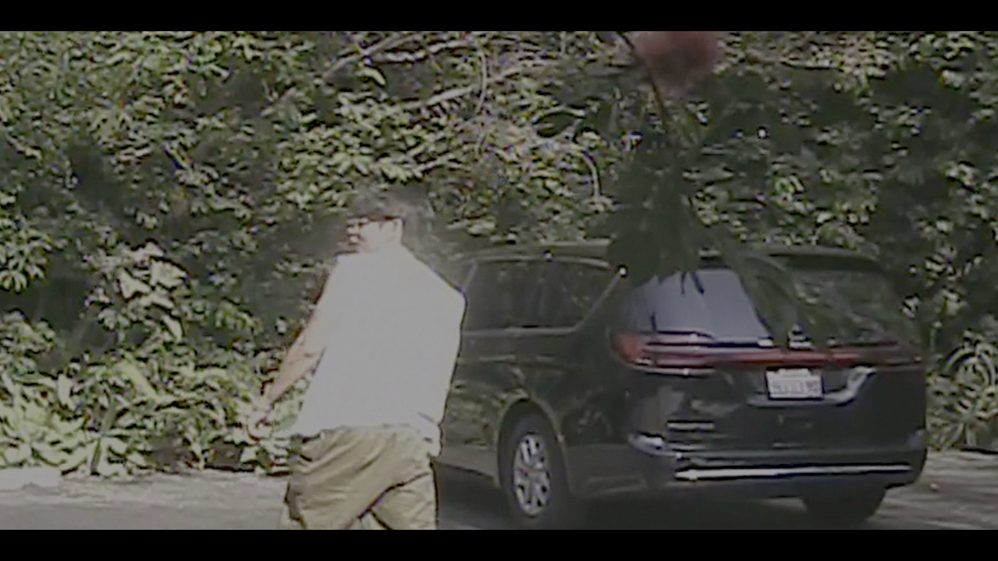 BTS：天团回归 [杜比视界版本][简繁英字幕].BTS.THE.RETURN.2026.2160p.NF.WEB-DL.DDP.5.1.Atmos.DV.H.265-DreamHD 12.88GB-2.png