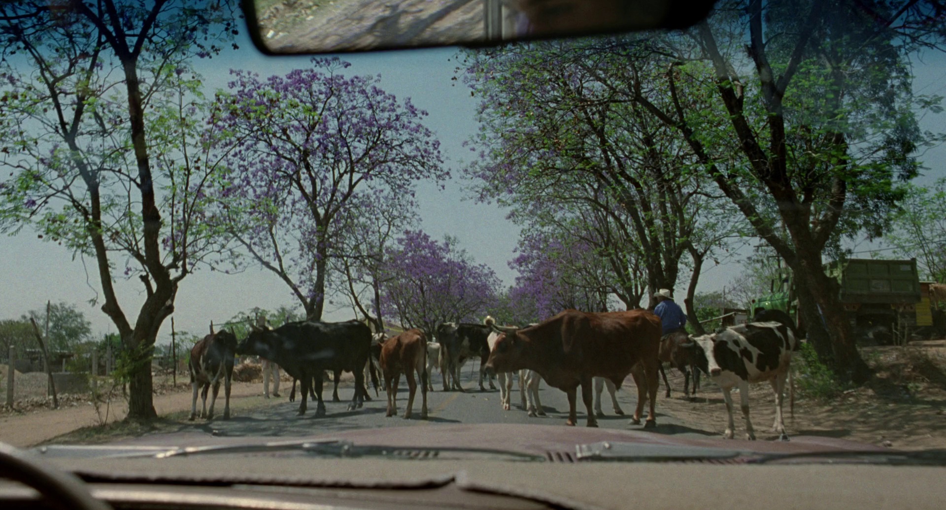 你妈妈也一样 [中文字幕].Y.Tu.Mama.Tambien.2001.BluRay.1080p.DTS.x264-DreamHD 12.50GB-4.png