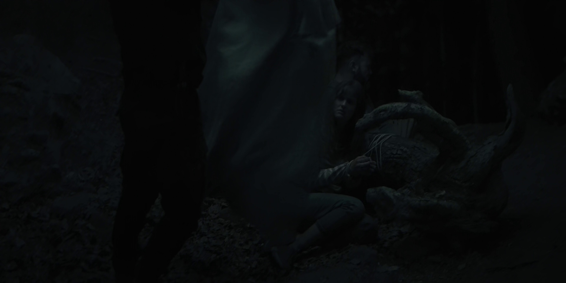 荒野之河 [简繁英字幕].The.River.Wild.2023.BluRay.1080p.DTS-HDMA5.1.x264-DreamHD 11.62GB-5.png