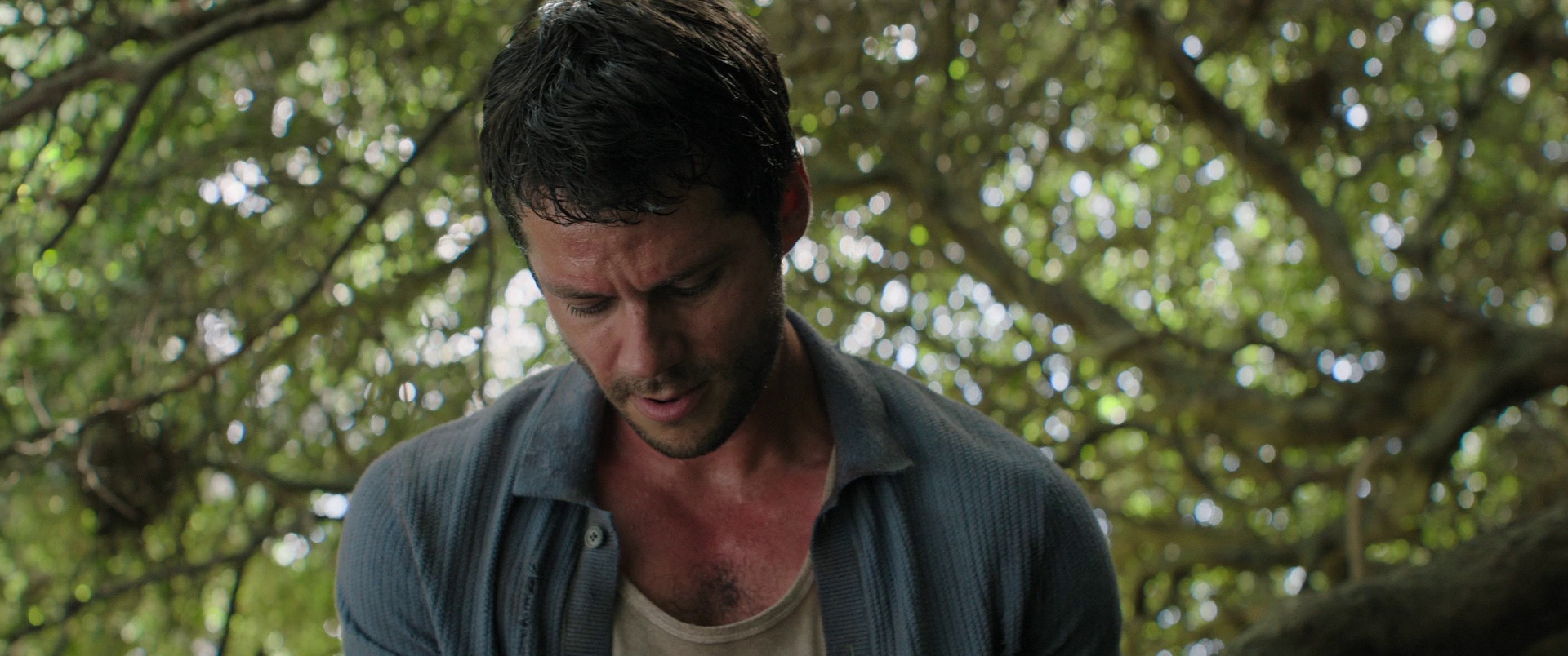 请求救援 [HDR/杜比视界双版本][简繁英字幕].Send.Help.2026.2160p.BluRay.DoVi.x265.10bit.Atmos.TrueHD7.1-CTRLHD 21.87GB-5.png