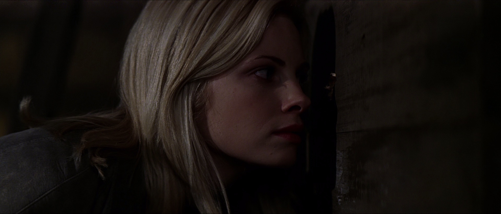 蛛丝马迹 [中文字幕].Along.Came.a.Spider.2001.Bluray.1080p.DTS-HDMA5.1.x265.10bit-DreamHD 8.47GB-7.png