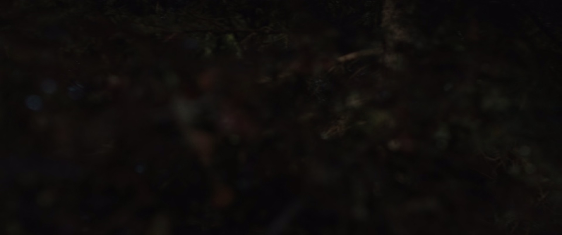 亚美利加纳 [简繁英字幕].Americana.2023.BluRay.1080p.TrueHD7.1.x265.10bit-DreamHD 6.47GB-6.png