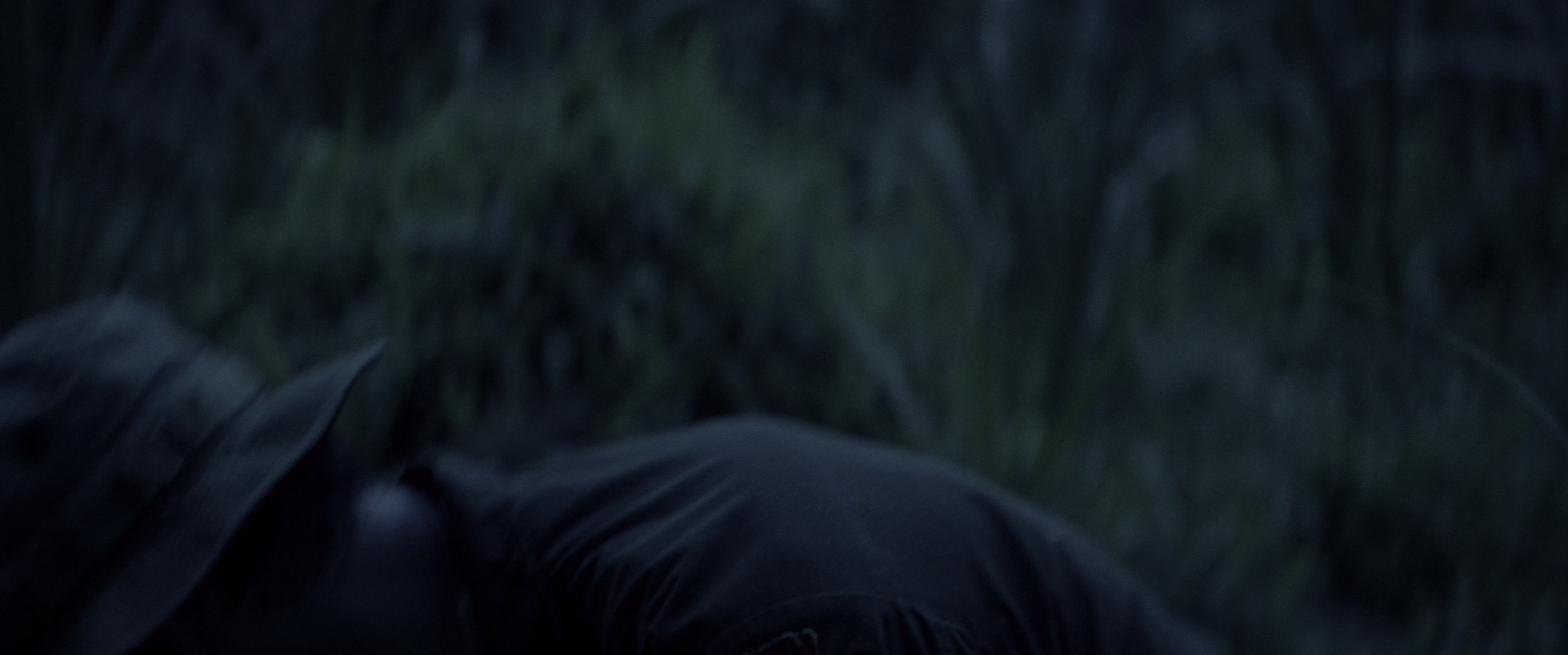 现代启示录 [共2部合集][中英字幕].Apocalypse.Now.1979.2in1.BluRay.2160p.TrueHD.HDR.x265.10bit-DreamHD 77.35GB-3.png