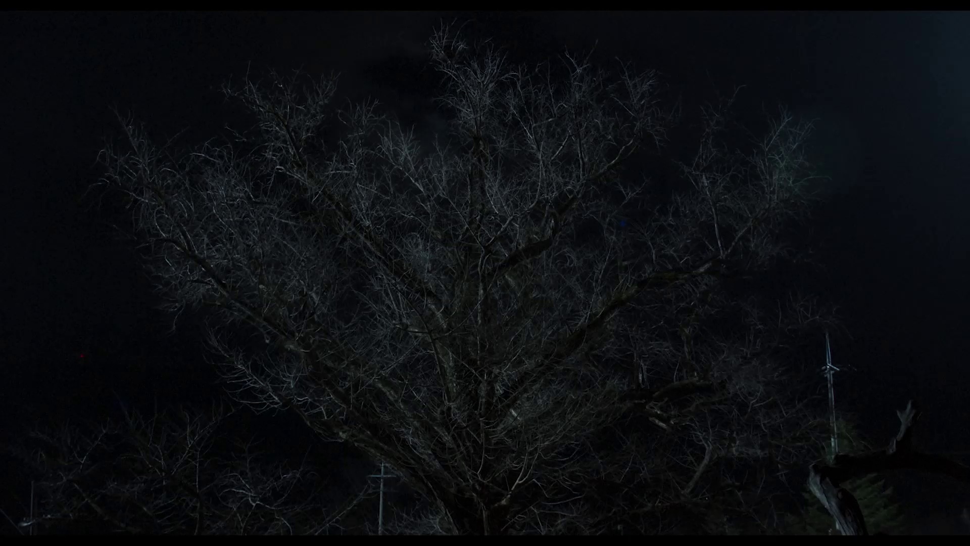 鬼市 [中文字幕].The.Cursed.Insatiable.Desires.2025.1080p.CATCHPLAY.WEB-DL.H264.AAC-QuickIO 2.80GB-2.png