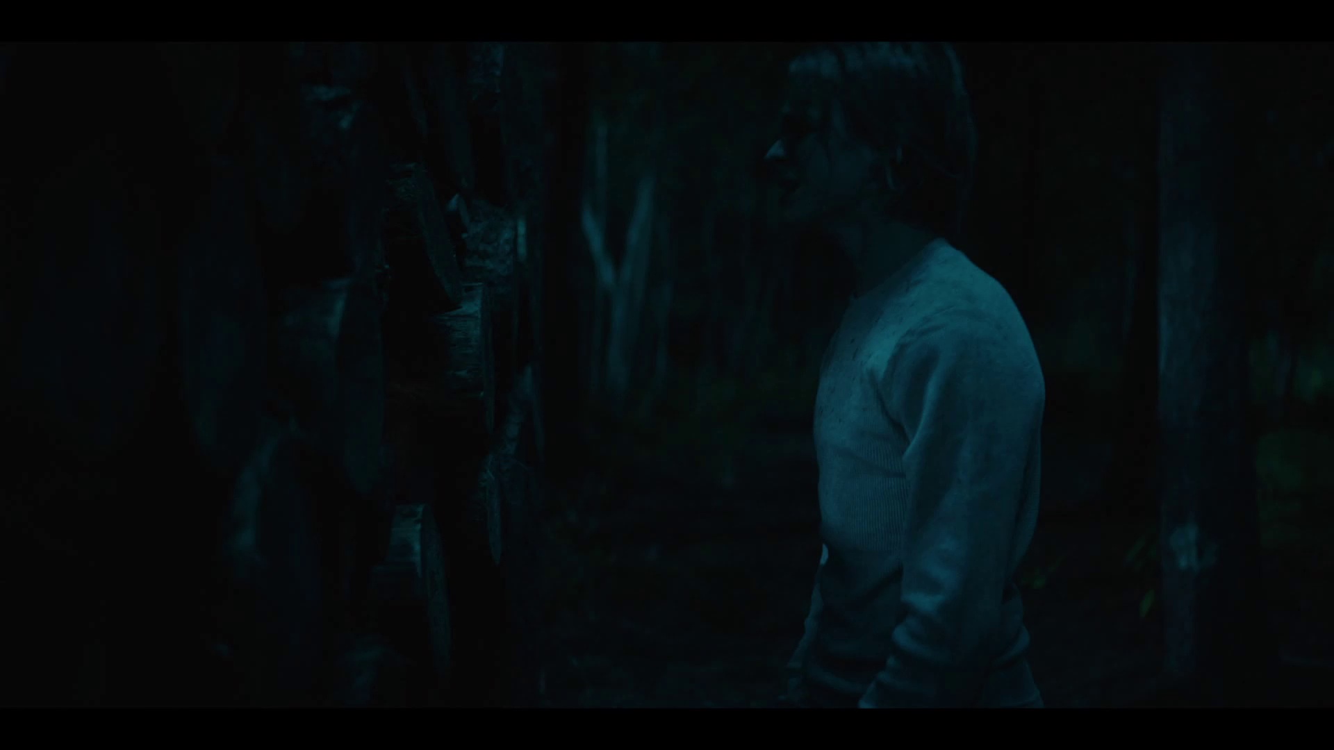 树艺师 [中文字幕].The.Arborist.2026.1080p.CATCHPLAY.WEB-DL.H264.AAC-QuickIO 2.88GB-5.png