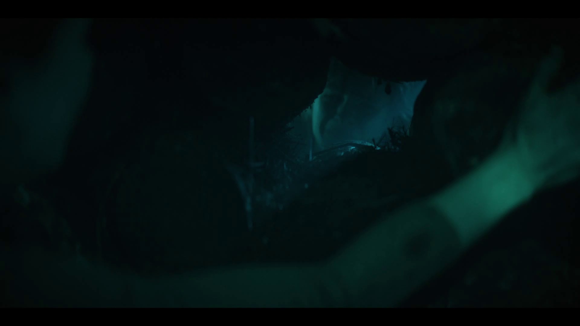 树艺师 [中文字幕].The.Arborist.2026.1080p.CATCHPLAY.WEB-DL.H264.AAC-QuickIO 2.88GB-7.png