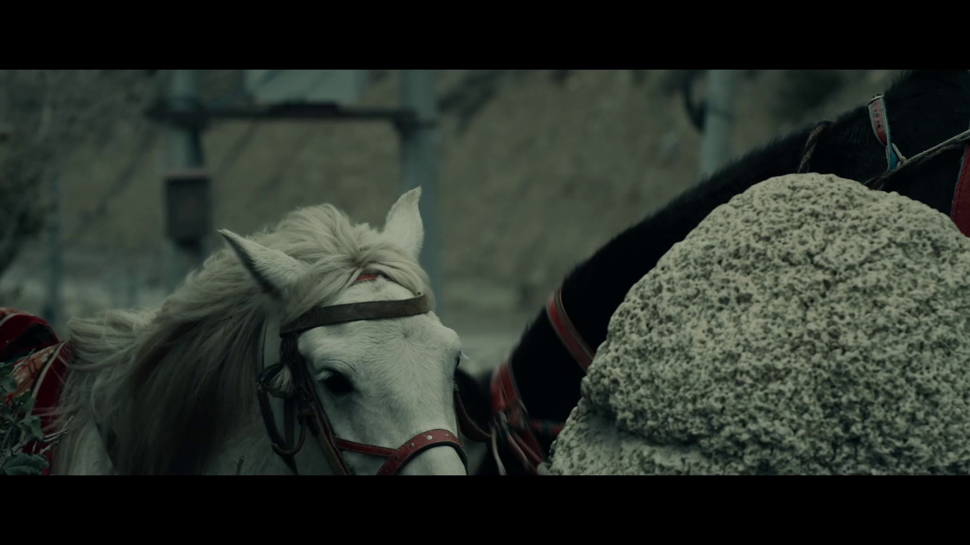 绝命喜马拉雅 [中文字幕].Antim.Sanskar.The.Last.Ritual.2023.1080p.CATCHPLAY.WEB-DL.H264.AAC-QuickIO 3.56GB-4.png