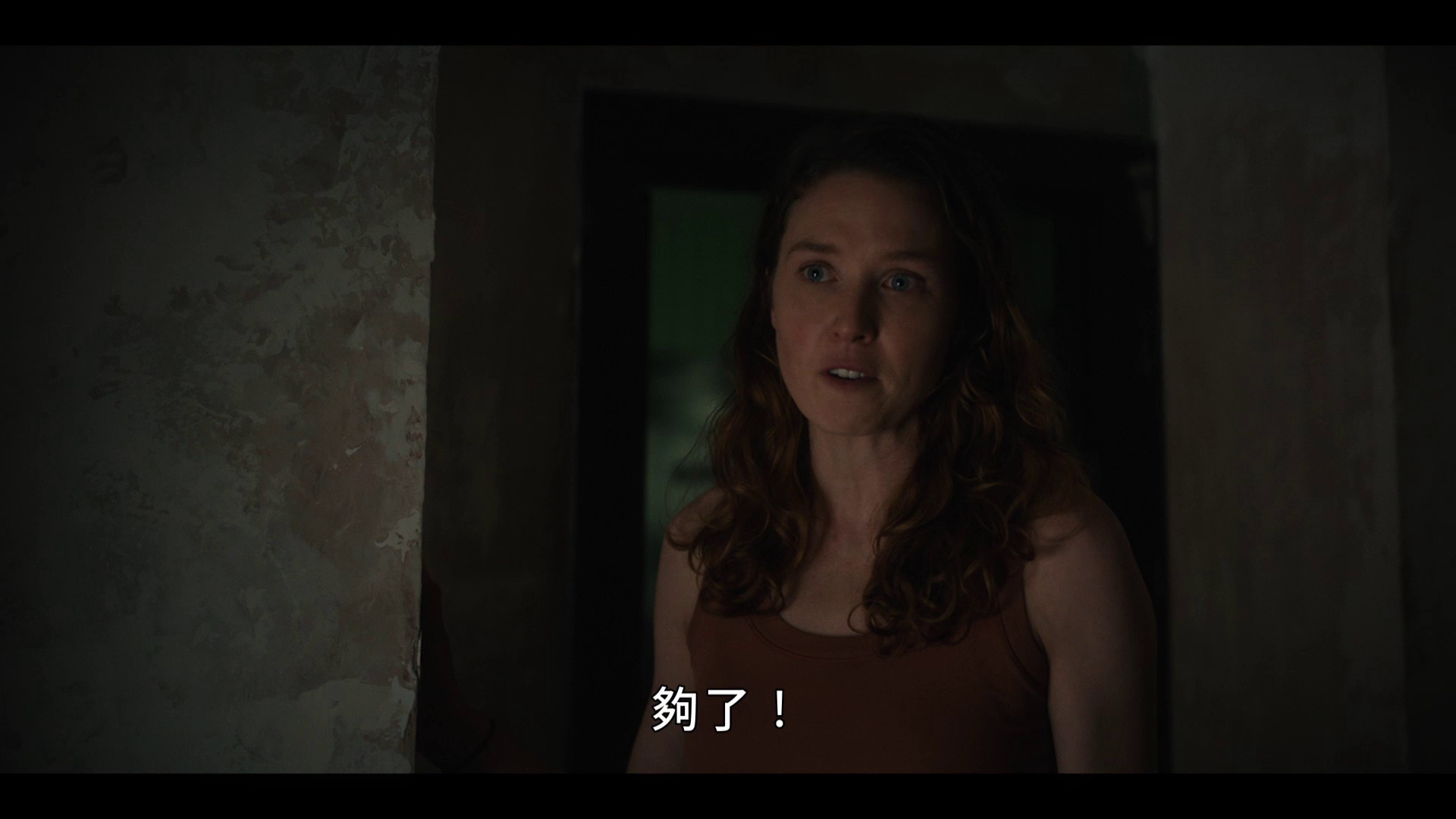 树艺师 [中文字幕].The.Arborist.2026.1080p.WEB-DL.H264.AAC-QuickIO 6.05GB-4.png