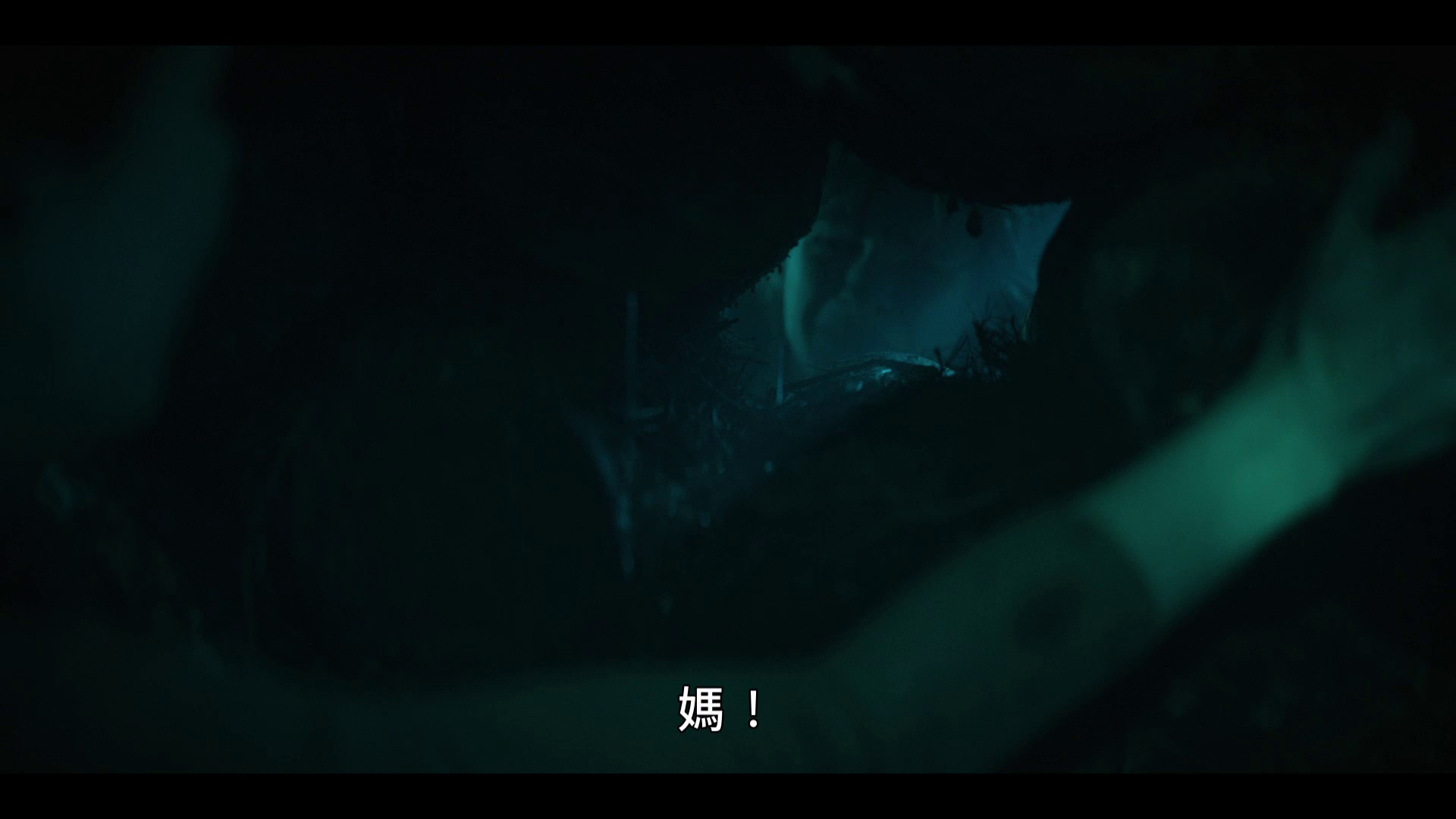 树艺师 [中文字幕].The.Arborist.2026.1080p.WEB-DL.H264.AAC-QuickIO 6.05GB-7.png