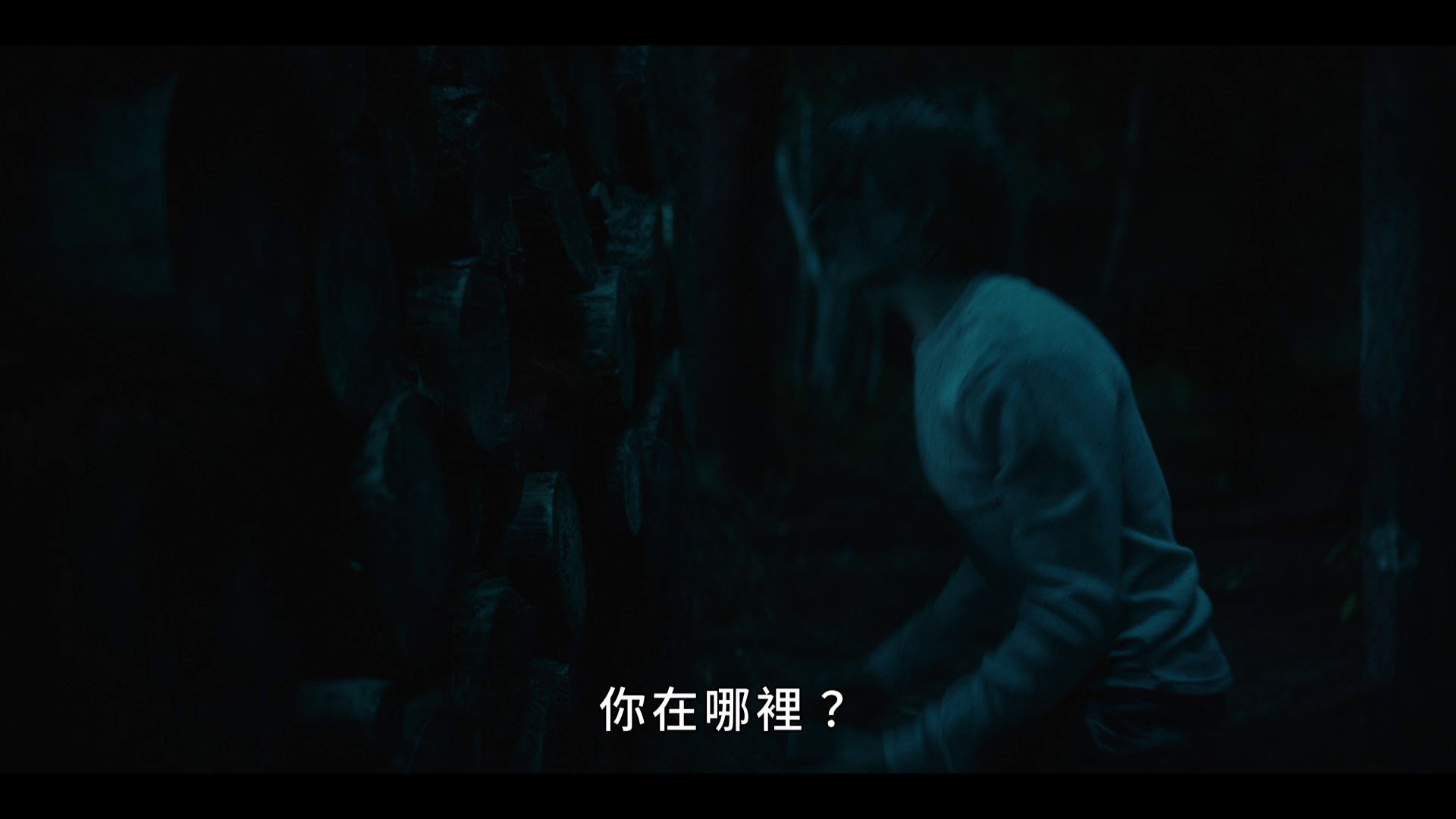 树艺师 [中文字幕].The.Arborist.2026.1080p.WEB-DL.H264.AAC-QuickIO 6.05GB-5.png