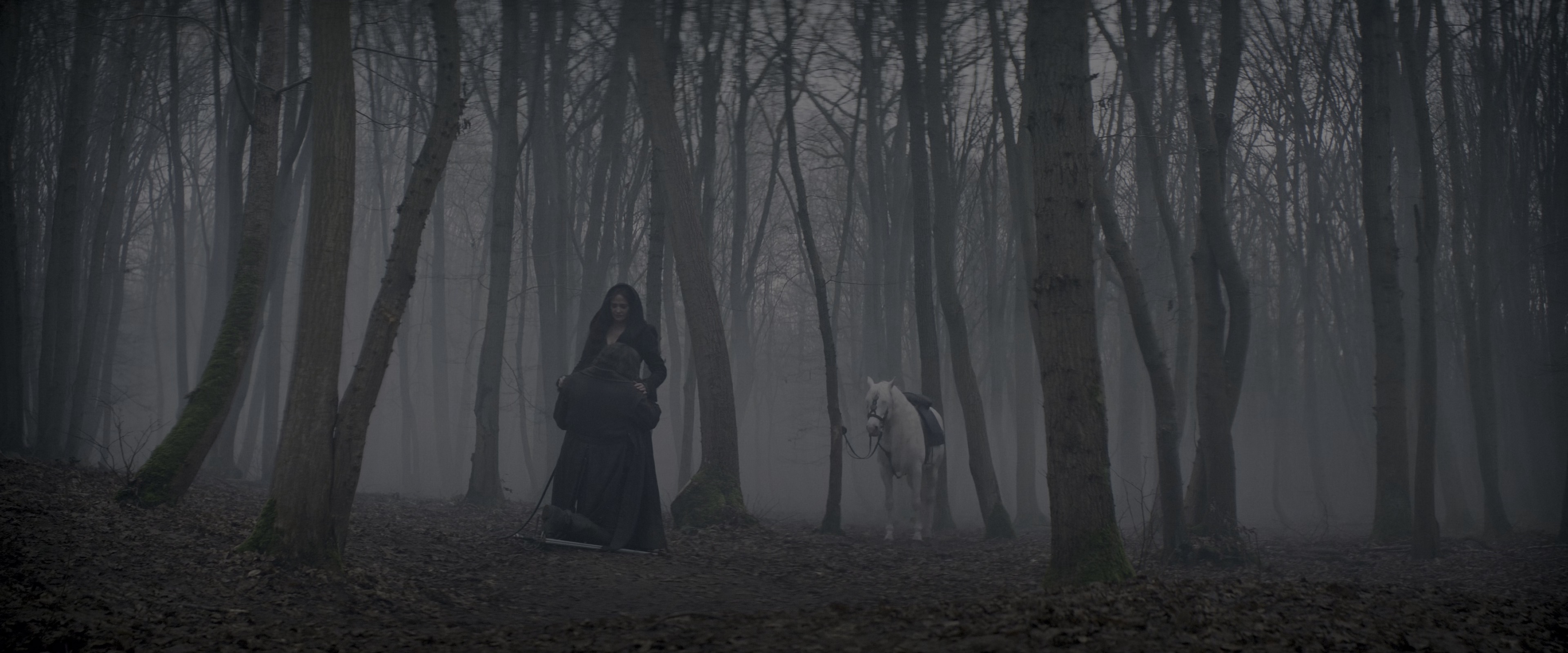 三个火枪手：米莱迪 [HDR/杜比视界双版本][中文字幕/特效字幕].2023.Bluray.2160p.TrueHD7.1.DoVi.HDR.x265.10bit-DreamHD 28.04GB-5.png