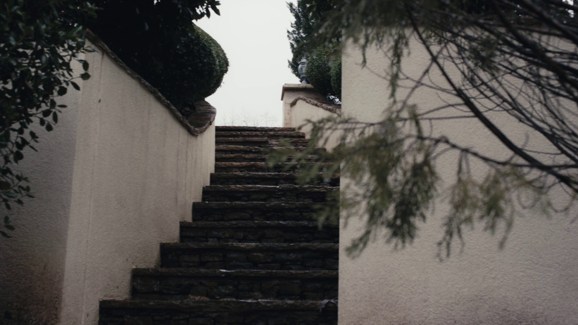 派对岛上的危险 [中文字幕].Danger.on.Party.Island.2024.1080p.WEB-DL.H264.AAC-QuickIO 5.79GB-7.png