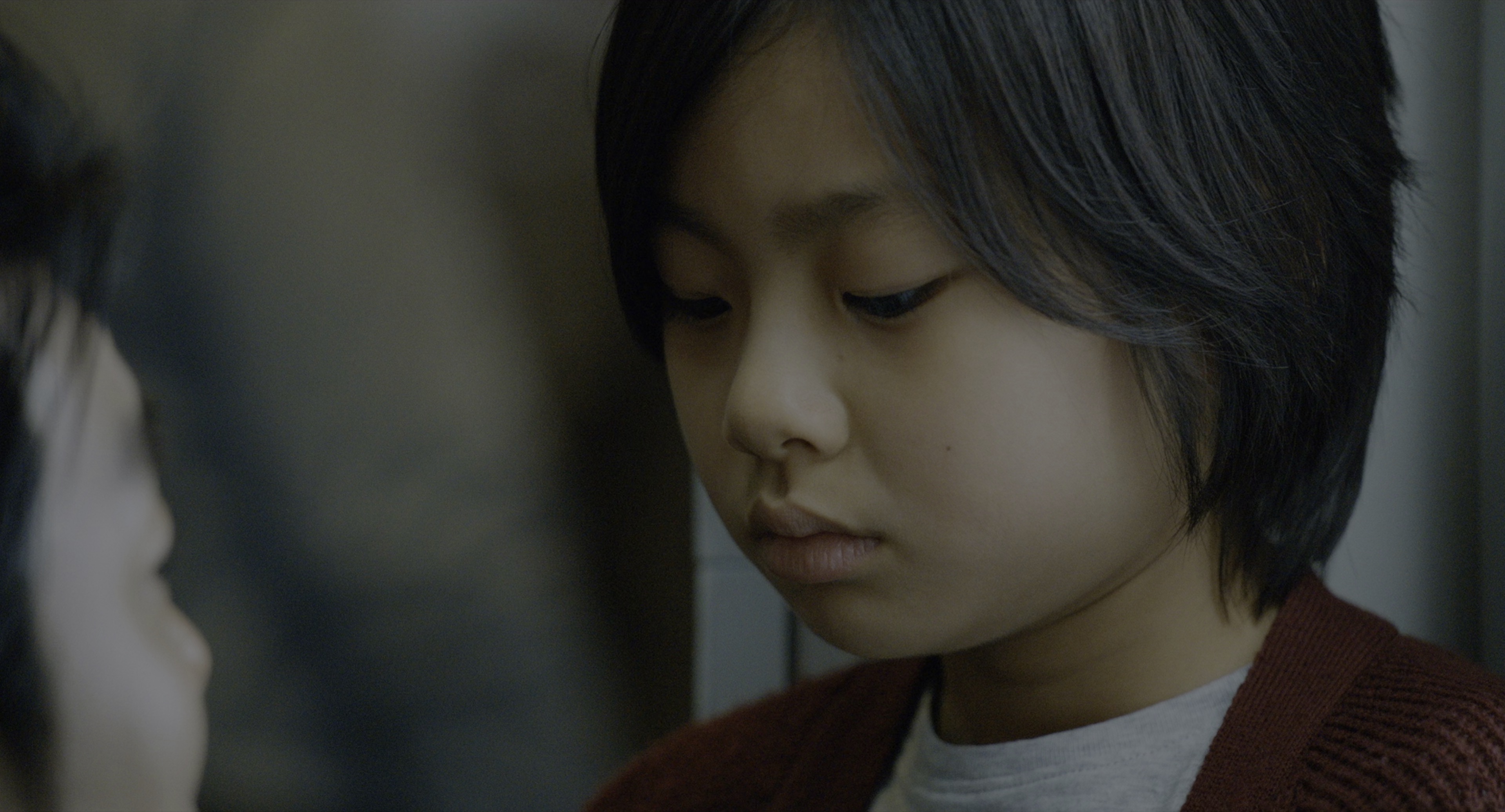 釜山行 [HDR/杜比视界双版本][简繁字幕].Train.to.Busan.2016.2160p.BluRay.DoVi.x265.10bit.Atmos.TrueHD7.1-CTRLHD 30.24GB-3.png