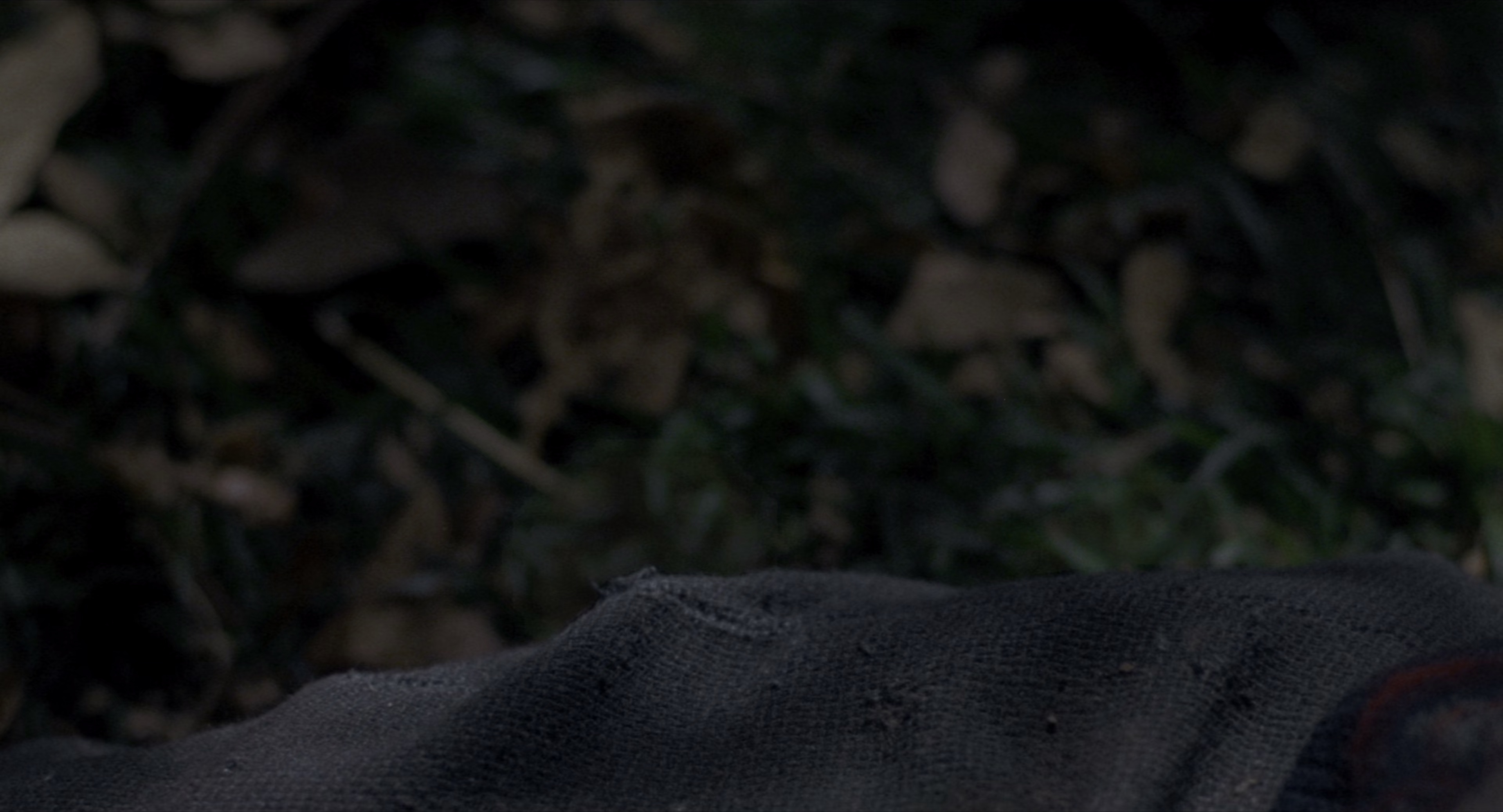 再生侠 [HDR/杜比视界双版本][简繁英字幕].Spawn.1997.2160p.UHD.BluRay.DV.x265.10bit.DTS-HD.MA.5.1-ParkHD 20.88GB-3.png